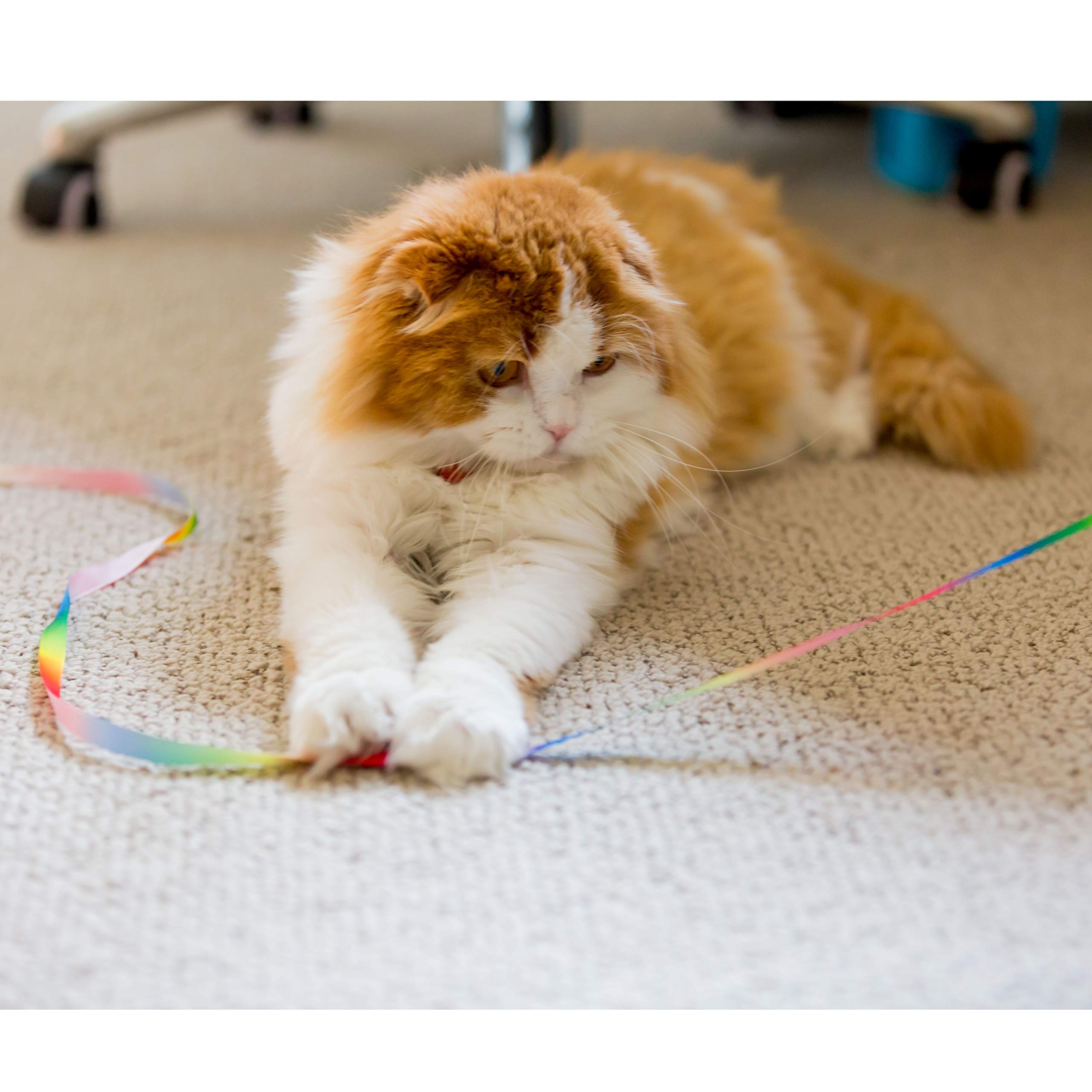 Youngever 15 Kitten Toys Assortment, Cat Play Mat, Cat Teaser Wand, Crinkle Balls For Kitten & Puppy