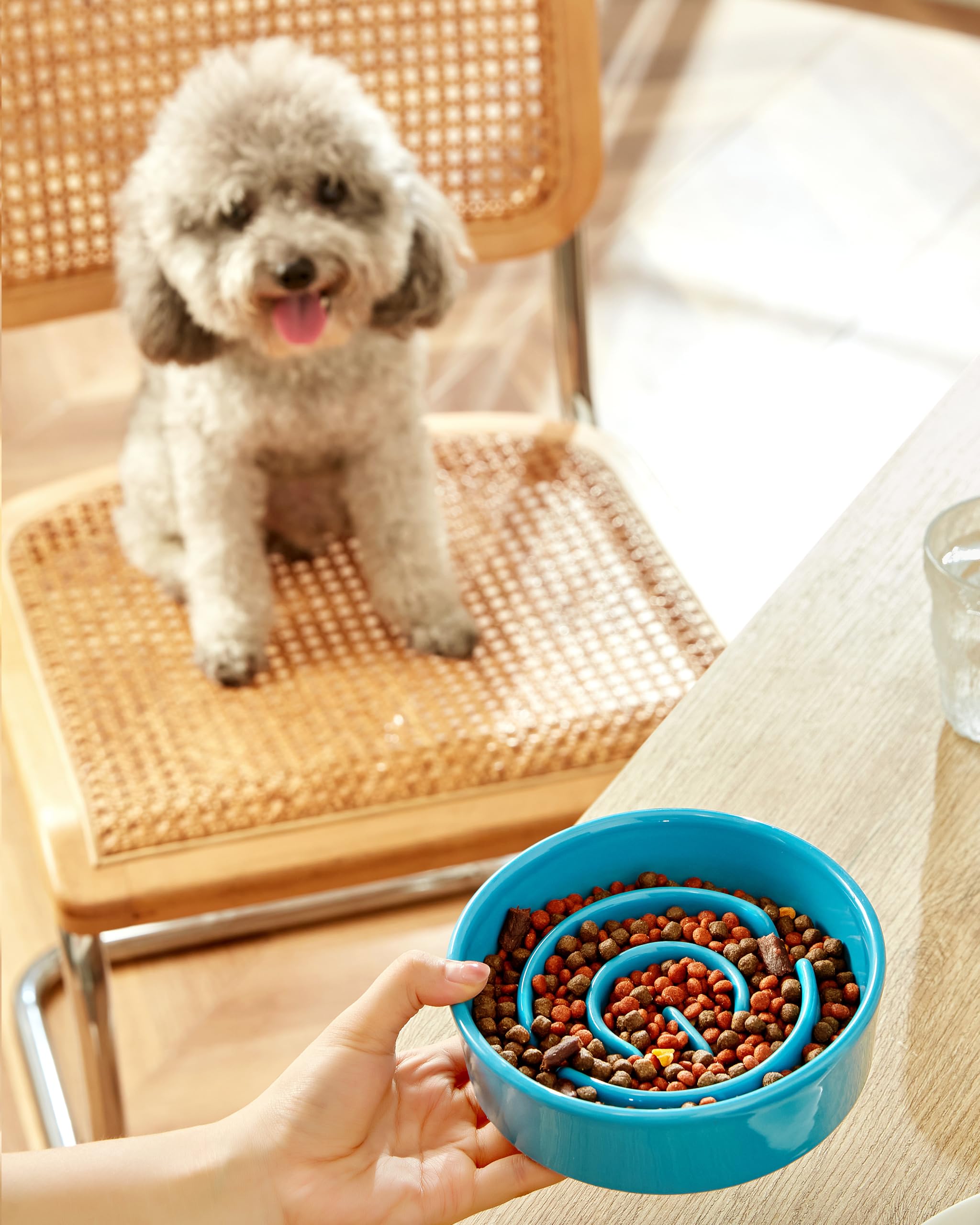 Mopang Ceramic Slow Feeder Dog Bowls, 0.6 Cup Slow Feeder For Small Dogs And Cats, Puzzle Maze Bowl, Prevents Choking, 6In, Blue