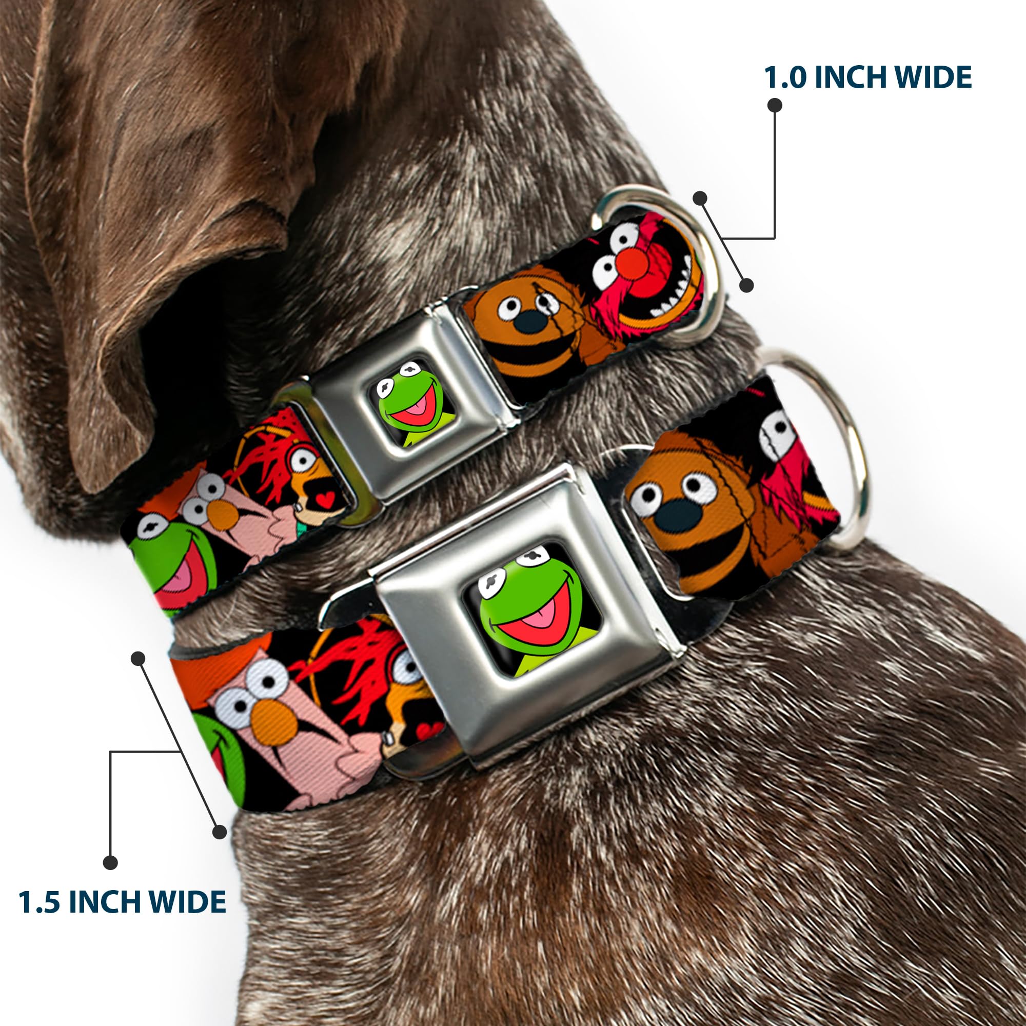 Buckle-Down Seatbelt Buckle Dog Collar - Muppets Faces Black - 1' Wide - Fits 11-17' Neck - Medium