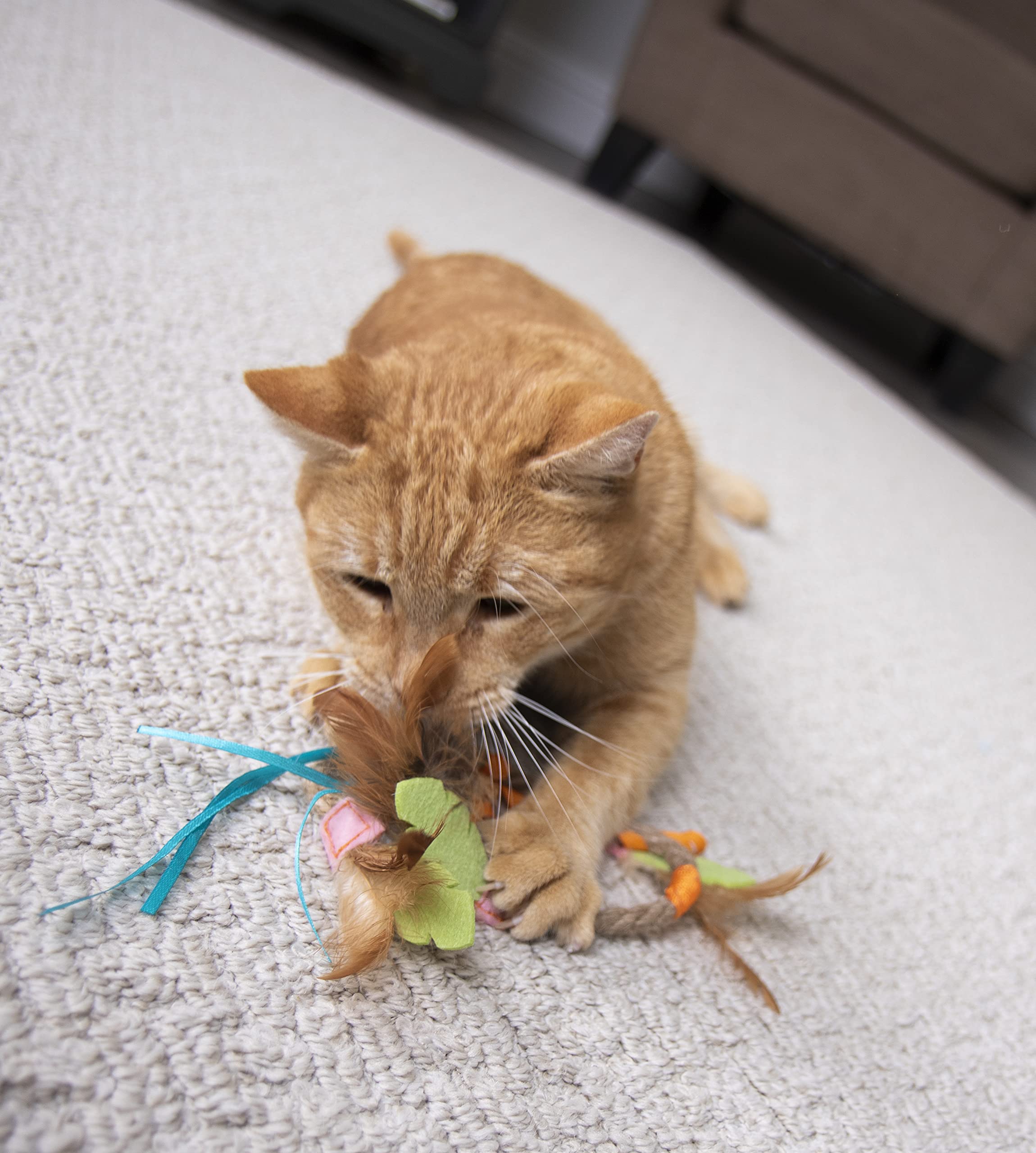 Smartykat Dream Dangler 2-In-1 Hanging Feather Cat Toy - Multi Color, One Size