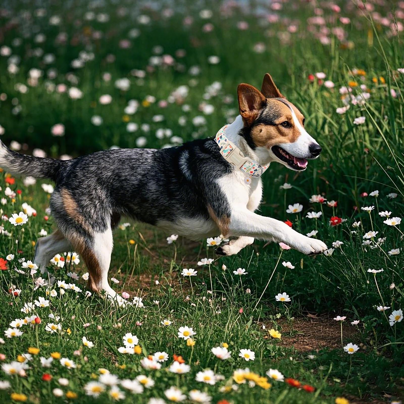 Dogwong Spring Summer Floral Cotton Dog Collar, Pink Flower Dog Collar Durable Soft Fabric Pet Dog Collars Cute Girl Female Pupp