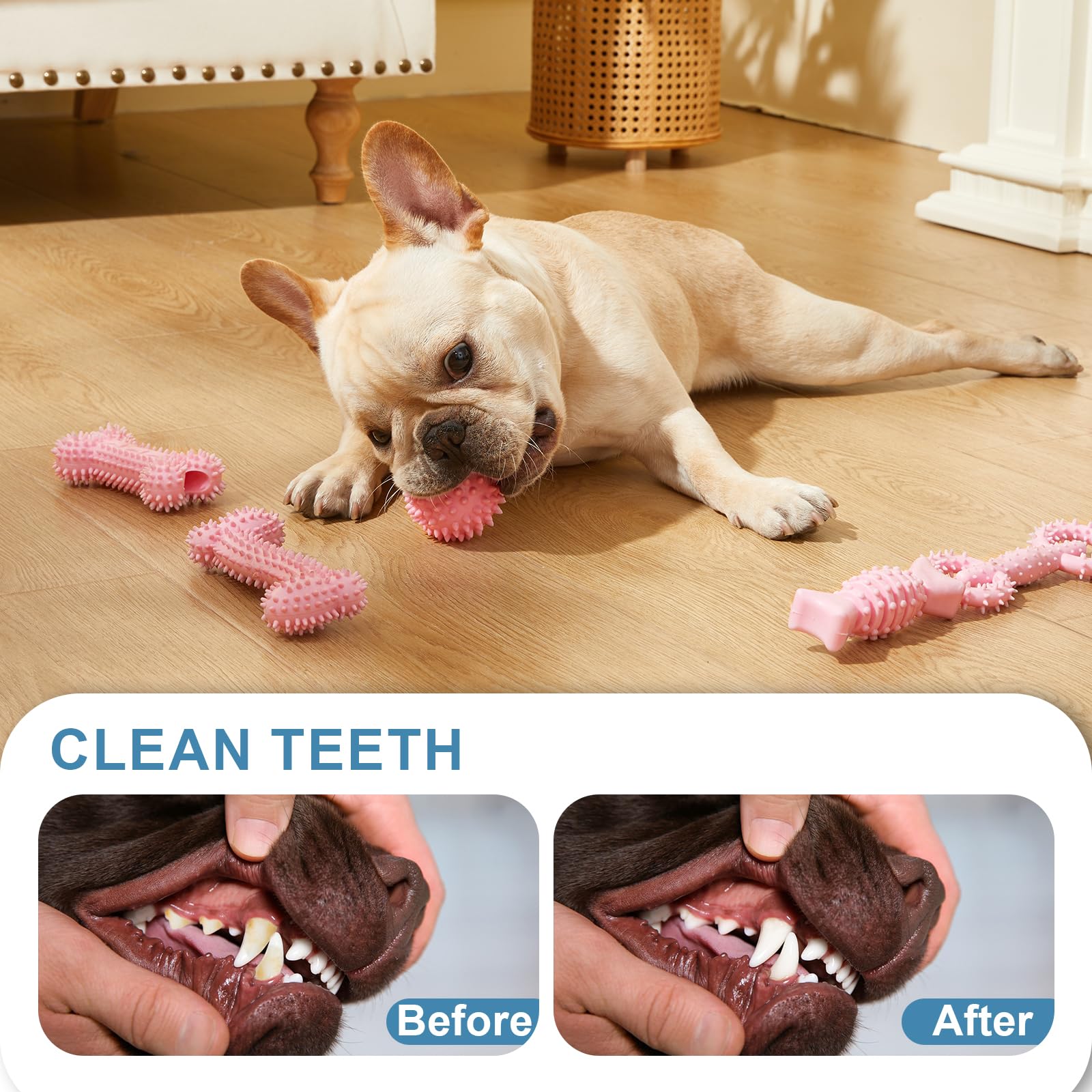 Bininl 6 Pack Dog Chew Toys For Puppy Cute Blue Small Dog Toys Puppy Dog Toys For Teething Soft Durable Interactive Chew Toy For