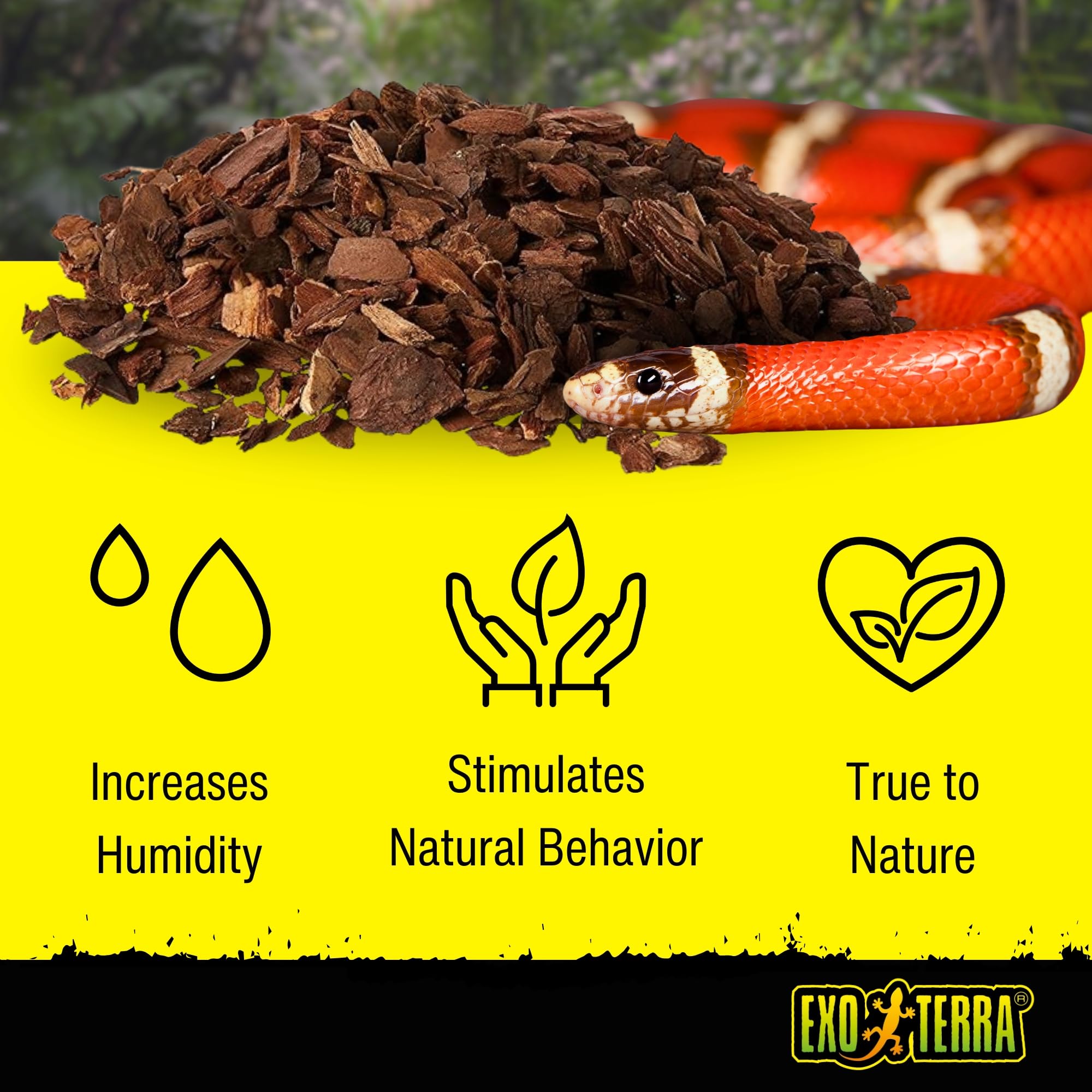 Exo Terra Forest Bark Natural Terrarium Substrate, 8 Quarts, Pt2752 | 100% Natural Fir Bark For Reptiles | Hygroscopic Moisture