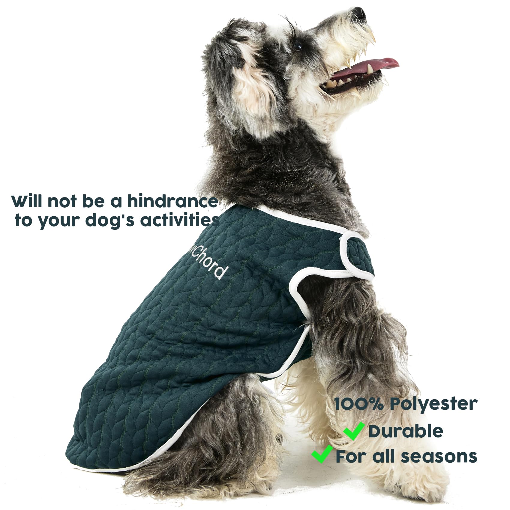 Knewchord Dog Shirts Soft Warm Cat Shirts Pet T-Shirt Puppy Dog Apparel Tee Tanks Easy On And Off (Dark Green, X-Large)