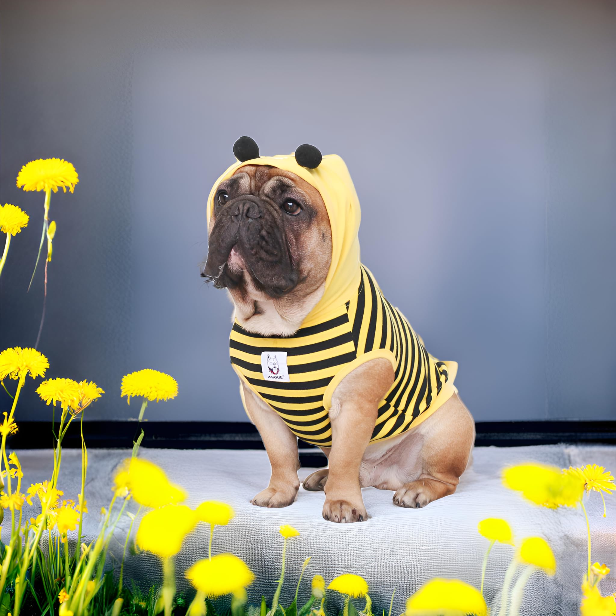 Ichoue Bee Honeybee Bumblebee English Bulldog Halloween Costumes Hoodies Sleeveless Clothes Outfits Funny Cosplay Shirts For Medium Dogs French Frenchie Pug Boston Puppy - Black And Yellow, Xx-Large