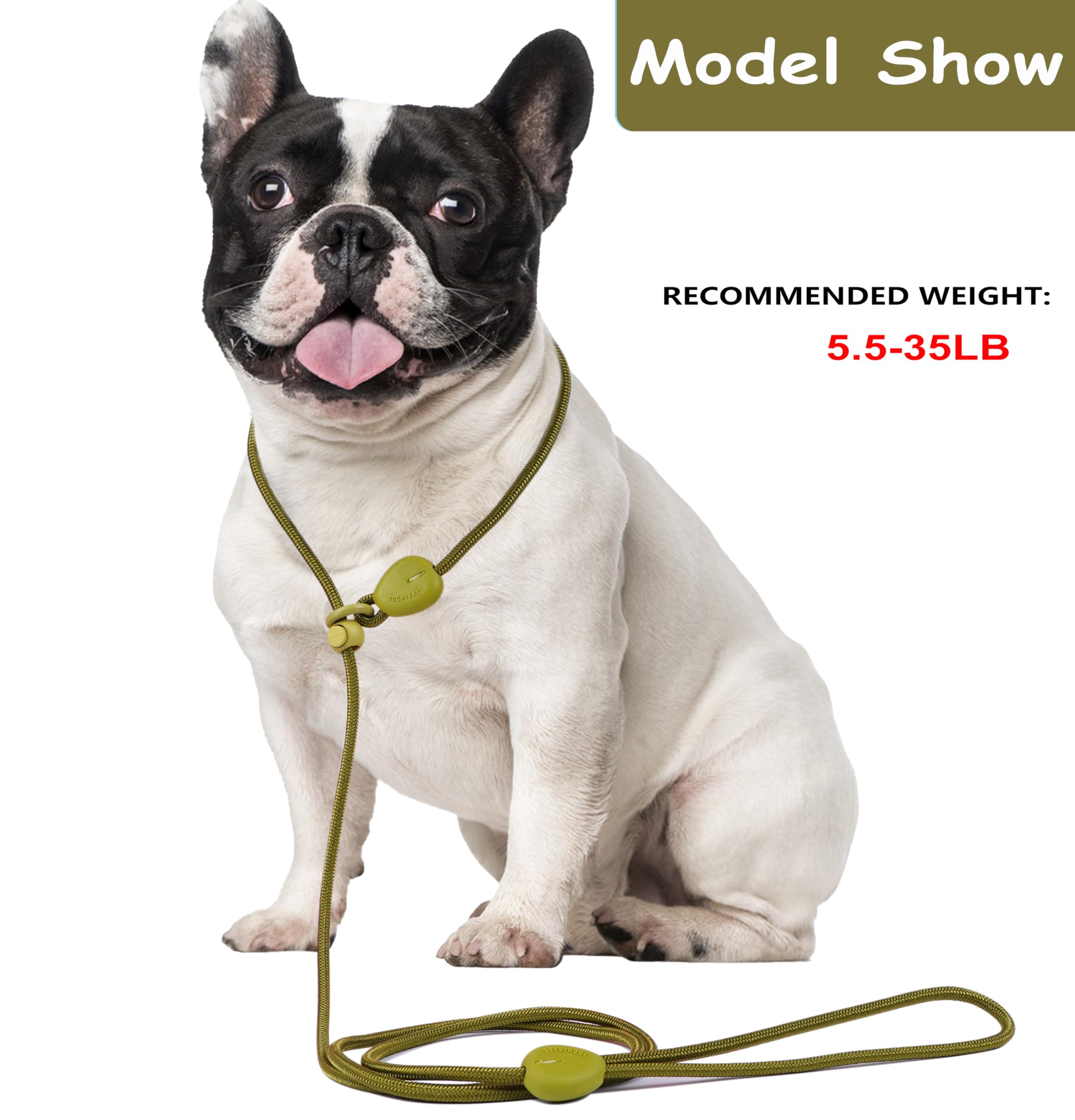 Green 6FT Heavy Duty Dog Training Leash - Comfortable Rope, No Pull, Suitable for Small to Medium Dogs