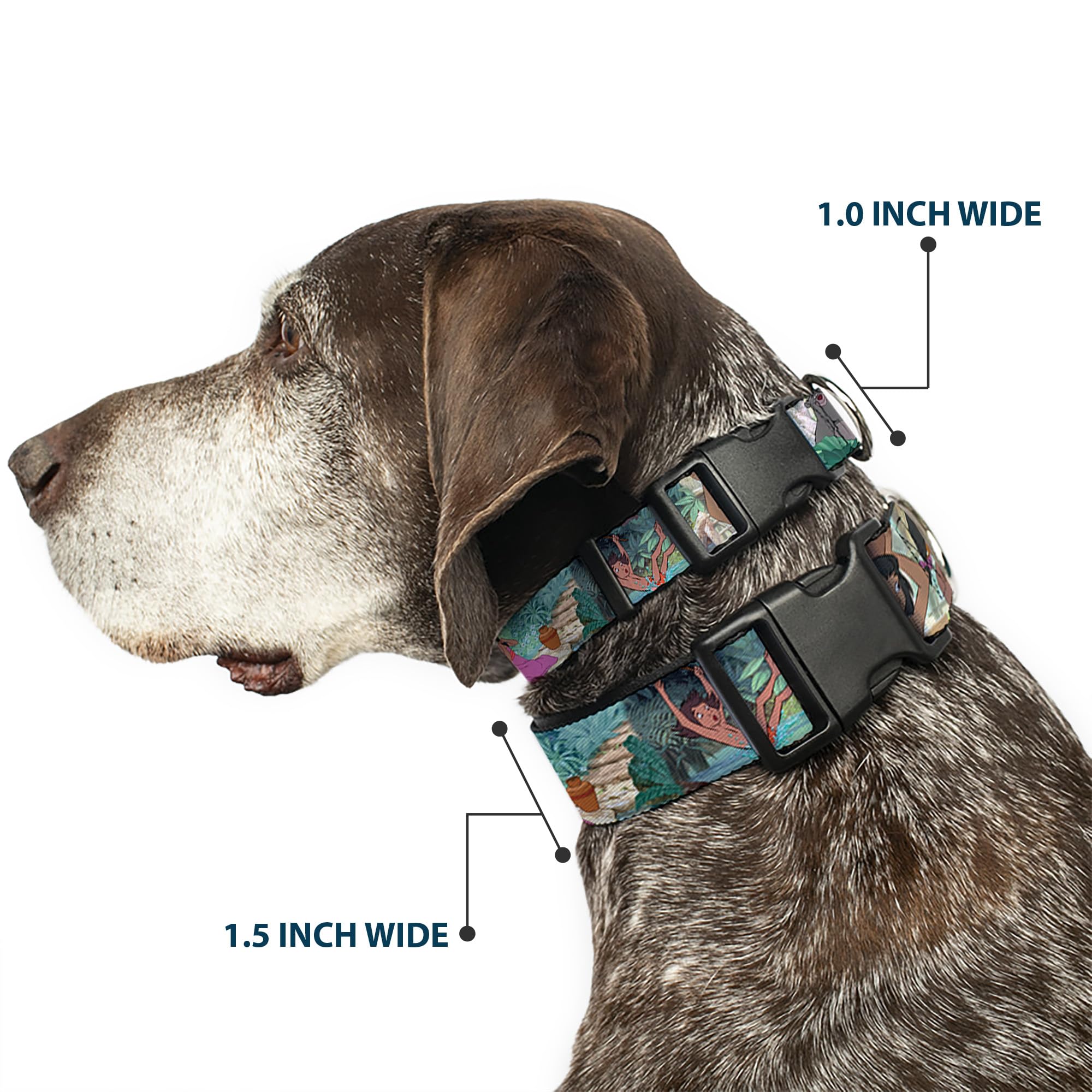 Buckle-Down Plastic Clip Collar - The Jungle Book Scenes - 1/2' Wide - Fits 9-15' Neck - Large
