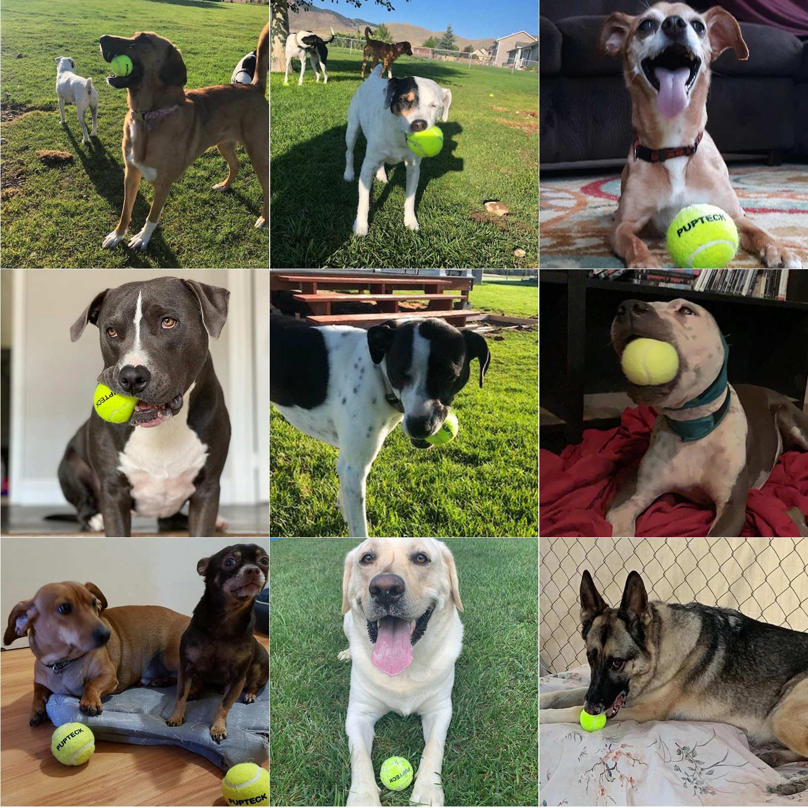Pupteck Squeaky Tennis Balls For Dogs, 2.5' Training Bouncy Ball Toys 12 Packs For Dogs Playing, Exercise And Fetch