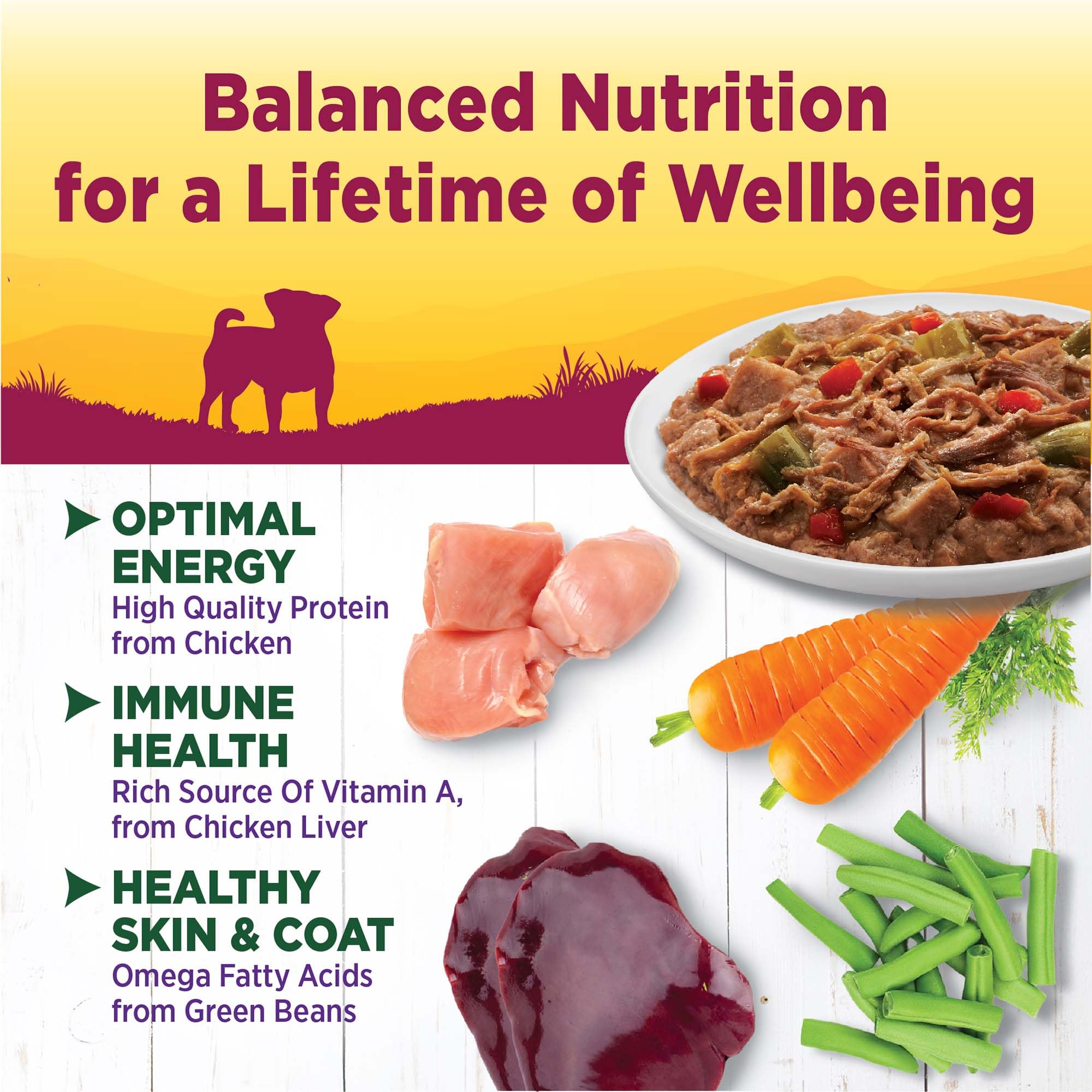 Wellness 3 Oz Grain Free Natural Wet Small Breed Roasted chicken, beef, green beans & Red Peppers. (12 Pack), One Size