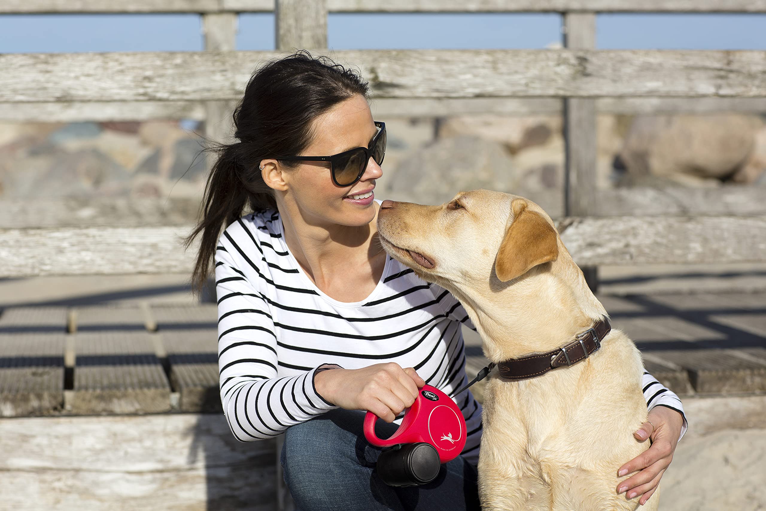 Flexi Roll-Leash New Classic Xs Rope 3 M Blue For Dogs, Cats & Small Animalsup To Max. 8 Kg