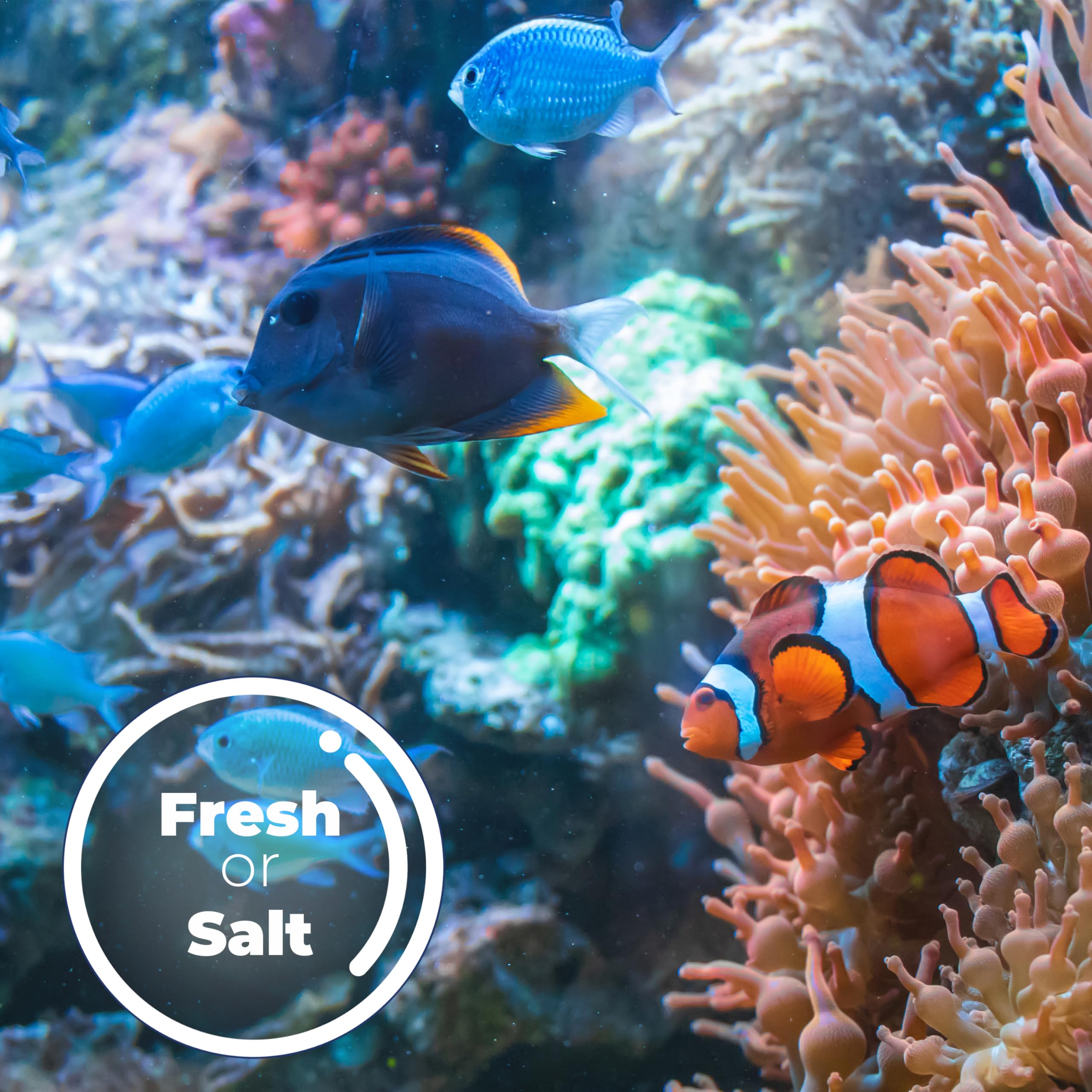 16 Pack, Rite Size C Aquarium Filter Cartridges Compatible With Marineland Penguin Power Filters 200 & 350 And Pro 275 & 375