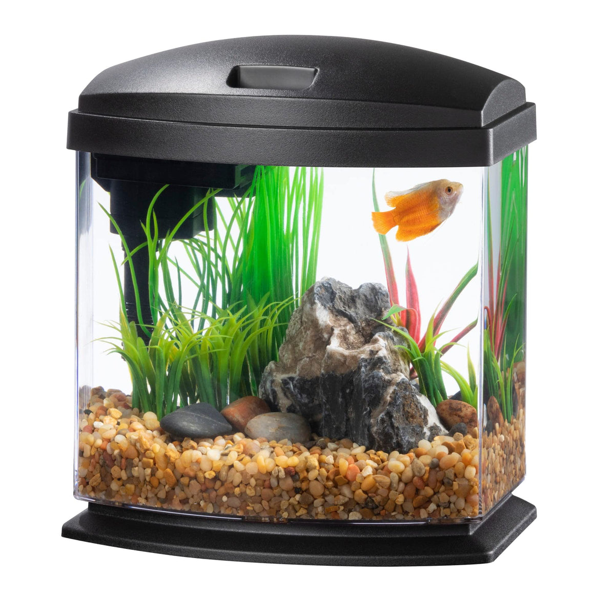 Aqueon 00800196: Aquarium Kit Mini Bow Led Blk 1G