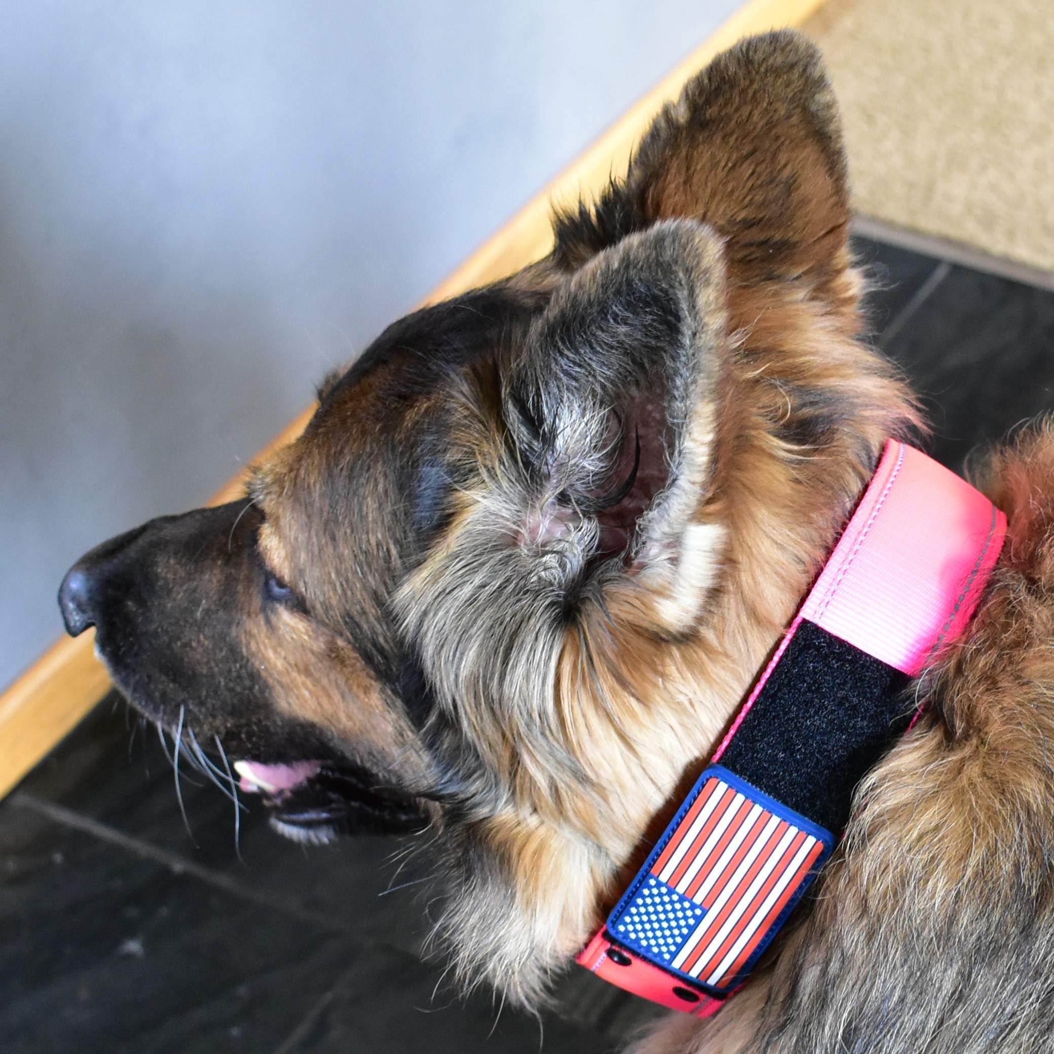 2' Personalized Tactical Dog Collar - Wide Thick Military Style With Strong Belt Buckle Closure - American Flag Patch - Reflective - Med And Xl Sizes For Large And Giant Dogs