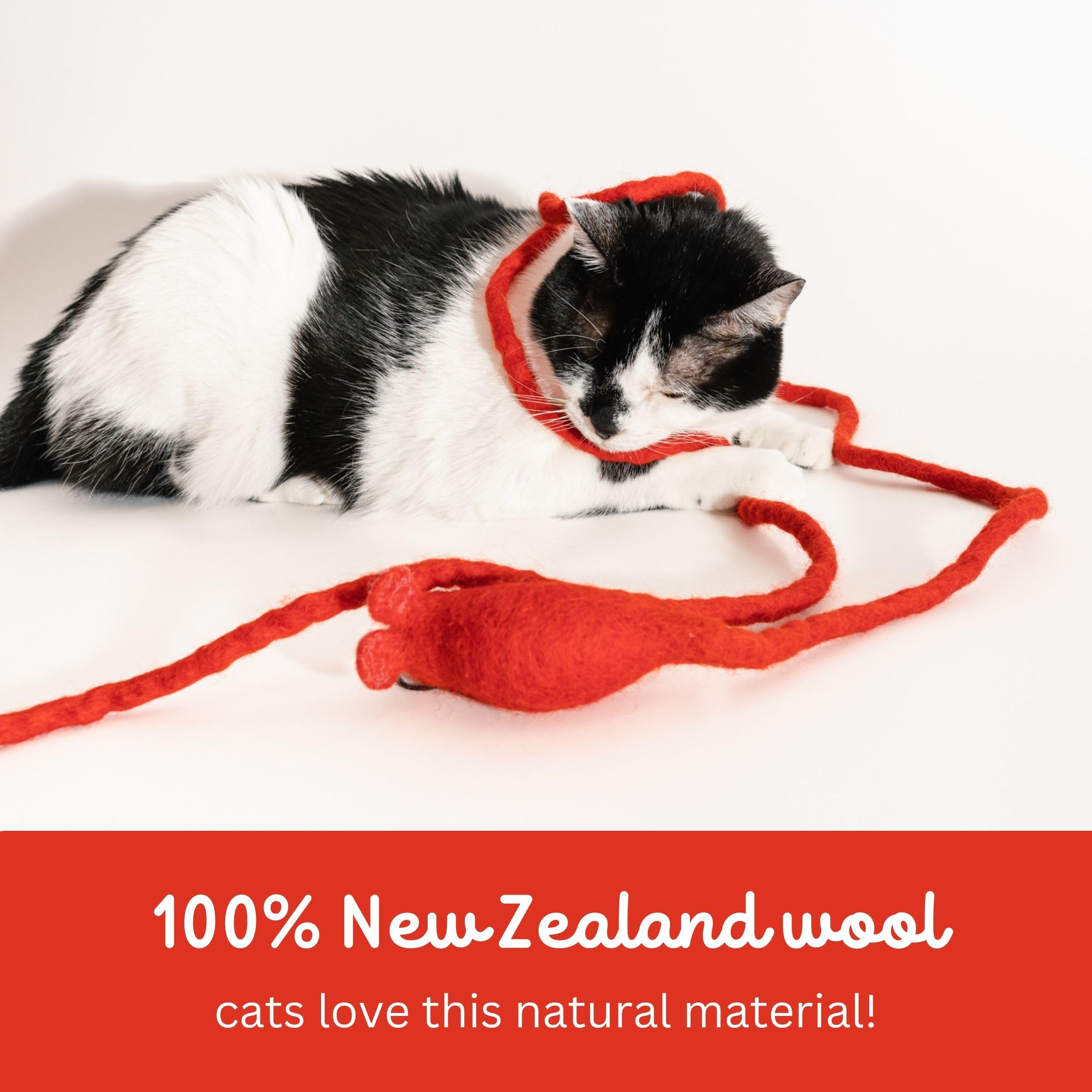 Catch A Mouse Wool Cat Toy With A 6-Ft Tail For Indoor Cats & Kittens. Cute Toy Mouse, Rat Plush Toy, Fake Mice. No Catnip. Prid