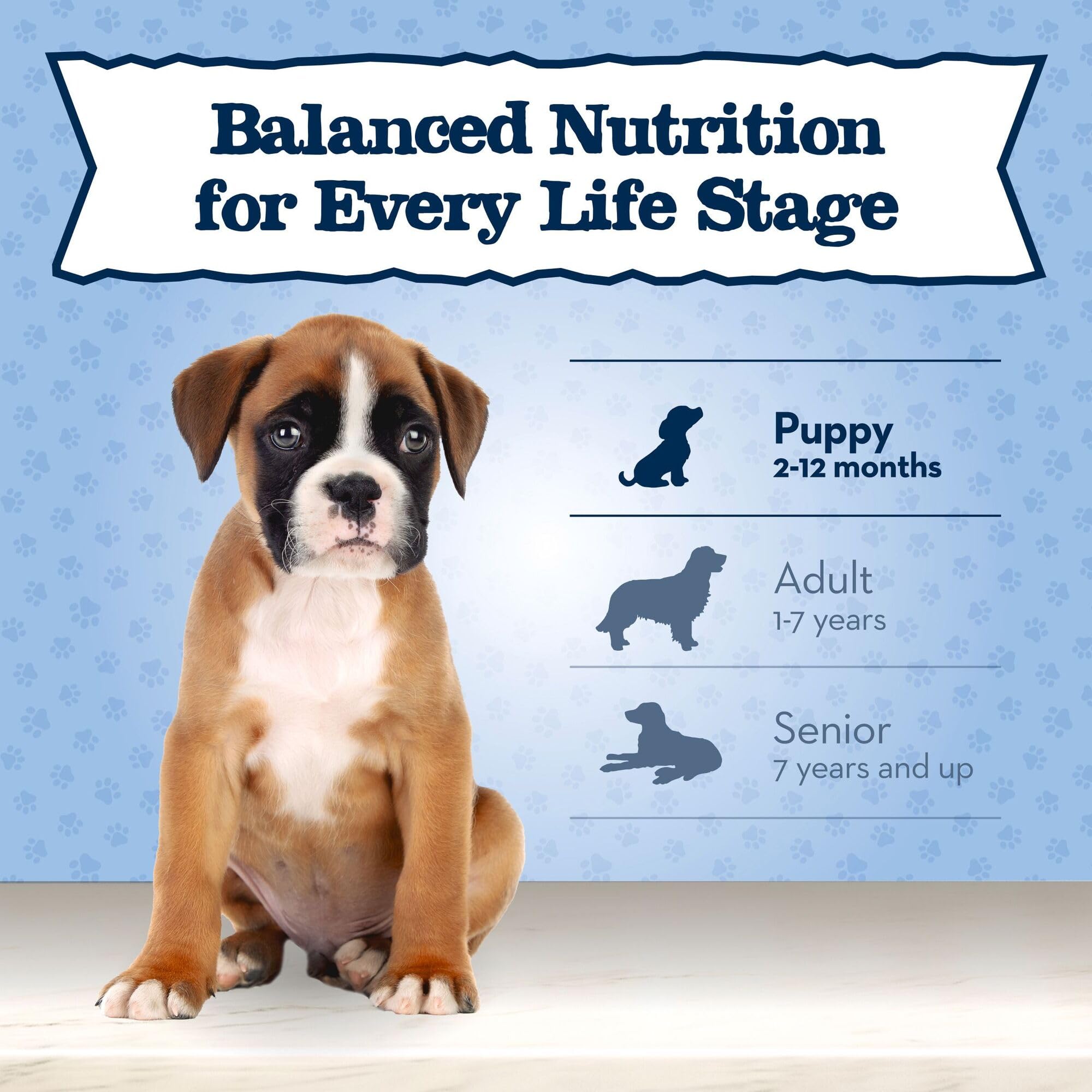 Blue Buffalo Baby BLUE Natural Small Breed Puppy Dry Dog Food, Healthy Growth Formula with DHA, Chicken and Oatmeal Recipe, 4-lb