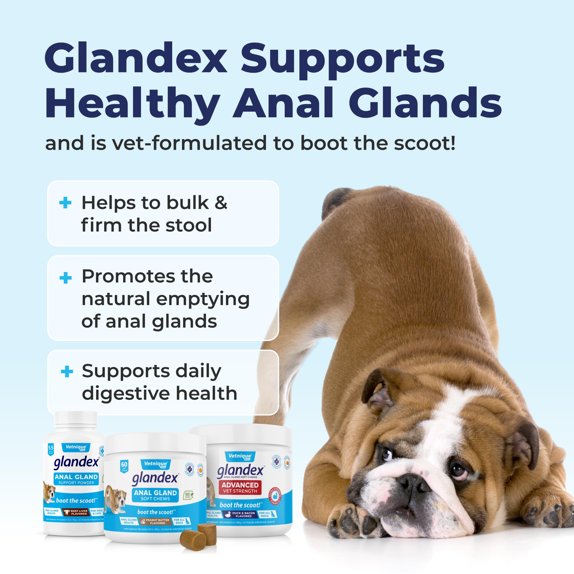 Vetnique Labs Glandex Anal Gland Soft Chew Treats with Pumpkin for Dogs Digestive Enzymes, Probiotics Fiber Supplement for Dogs
