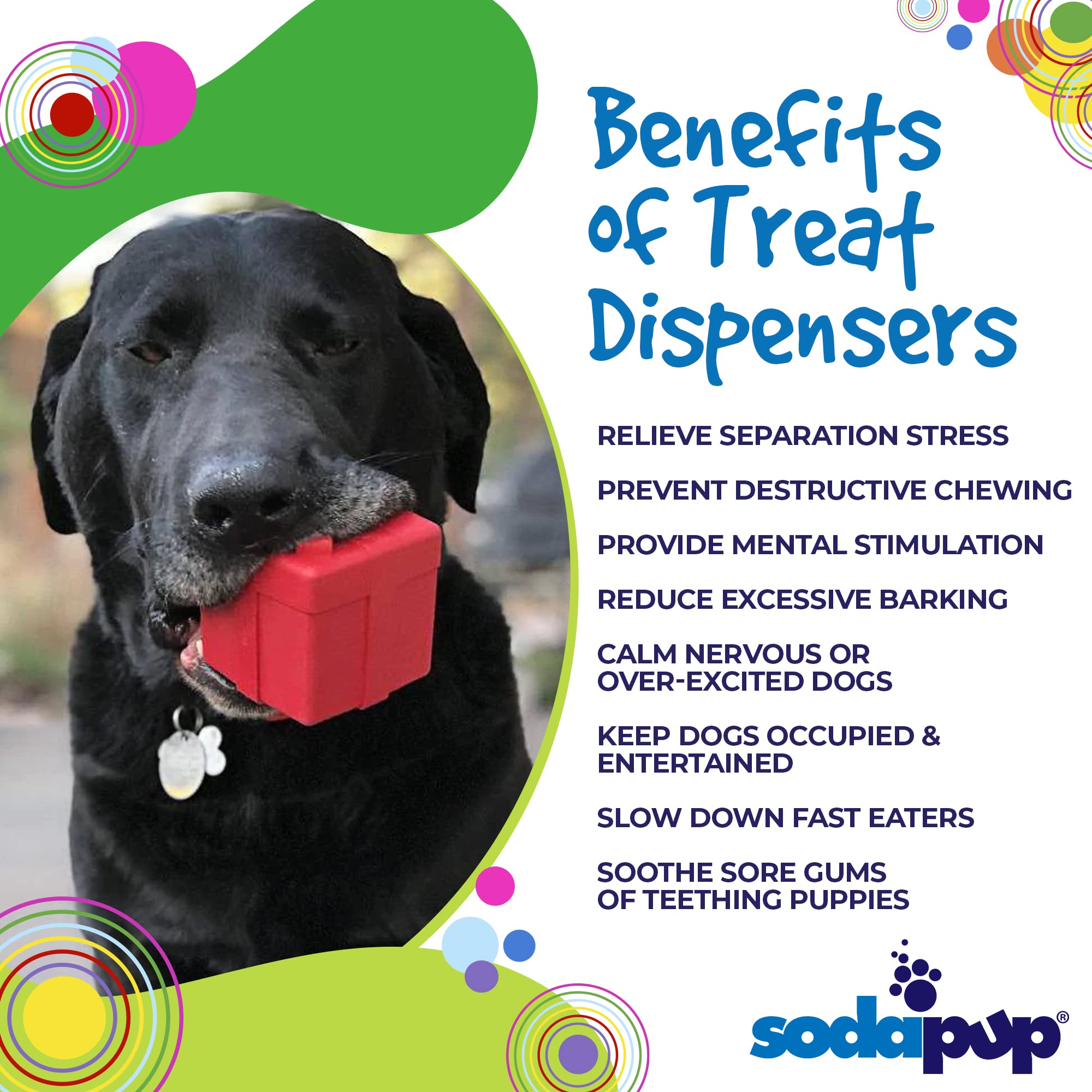 SodaPup Gift Box - Durable Dog Treat Dispenser & Chew Toy Made in USA from Non-Toxic, Pet Safe, Food Safe Natural Rubber Materia