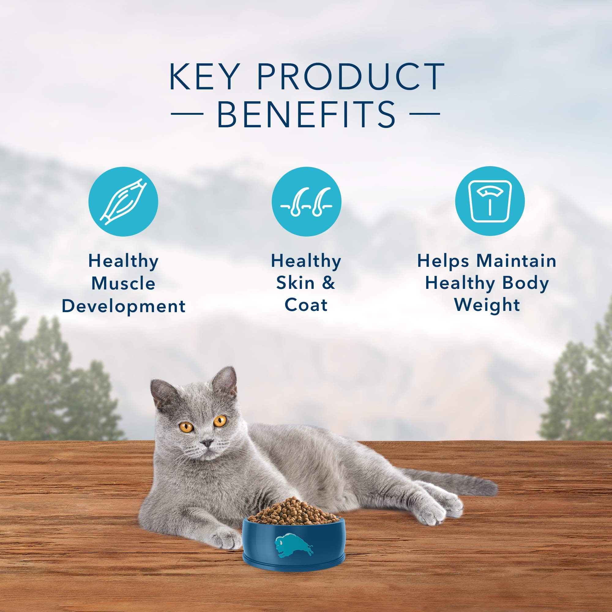 Blue Buffalo Wilderness Natures Evolutionary Diet High-Protein, Grain-Free Natural Dry Food for Adult Cats, Chicken, 2-lb. Bag