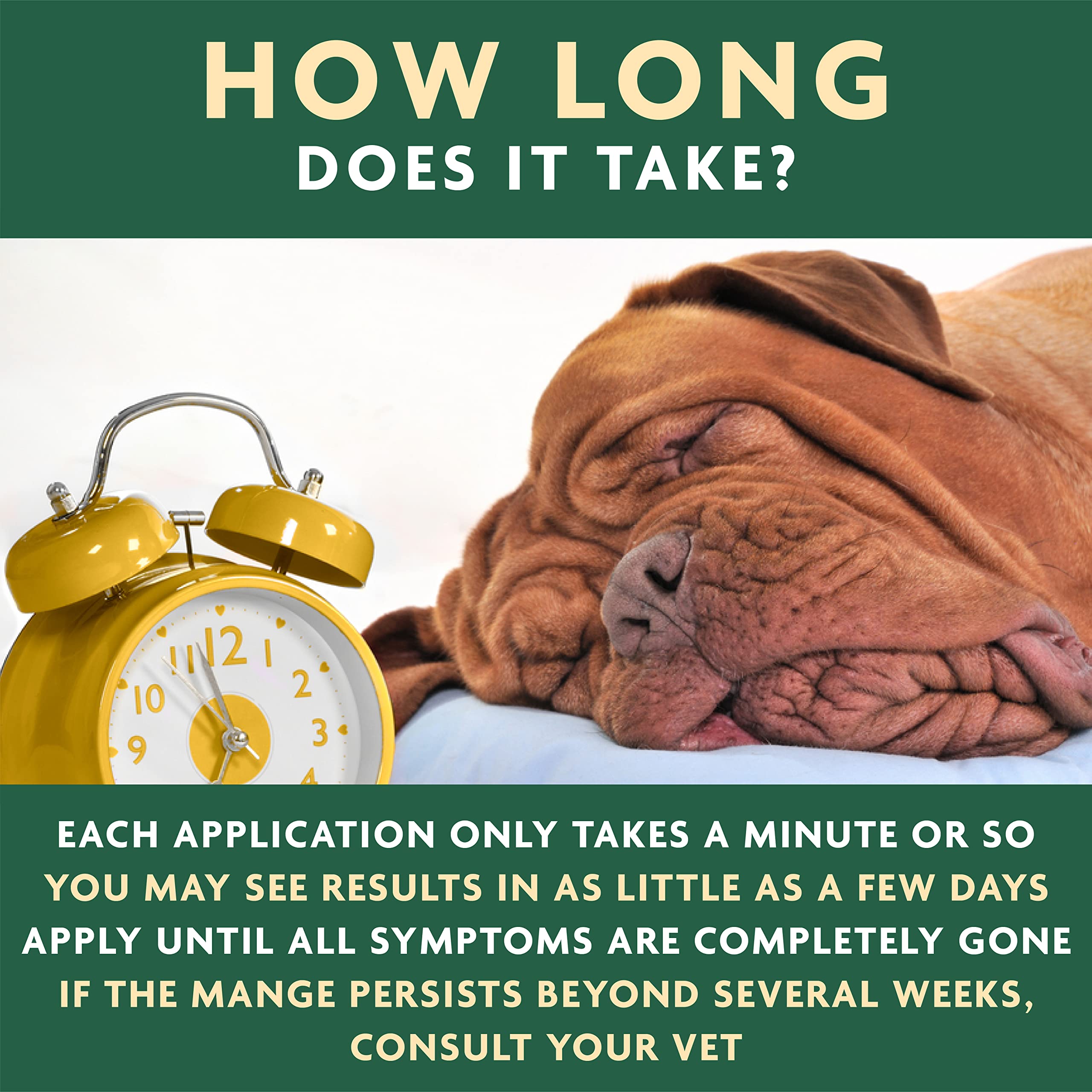 EcoMange Mange Relief for Dogs & Cats - 8 Oz. Cat & Dog Itch Relief, Sarcoptic & Demodectic Mite Spray - Herbal Extract & Essent