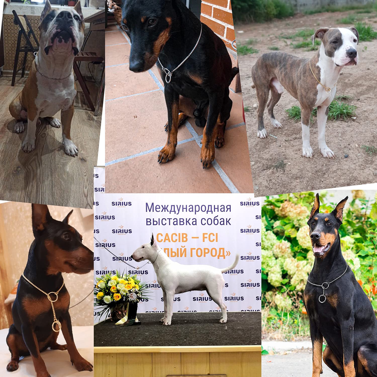 Ximipet Heavy Duty Dog Choke Collar Slip Dog P Chain Snake Collar Plating Anti-Rust Dog Training Collars for Small Large Dogs Bl