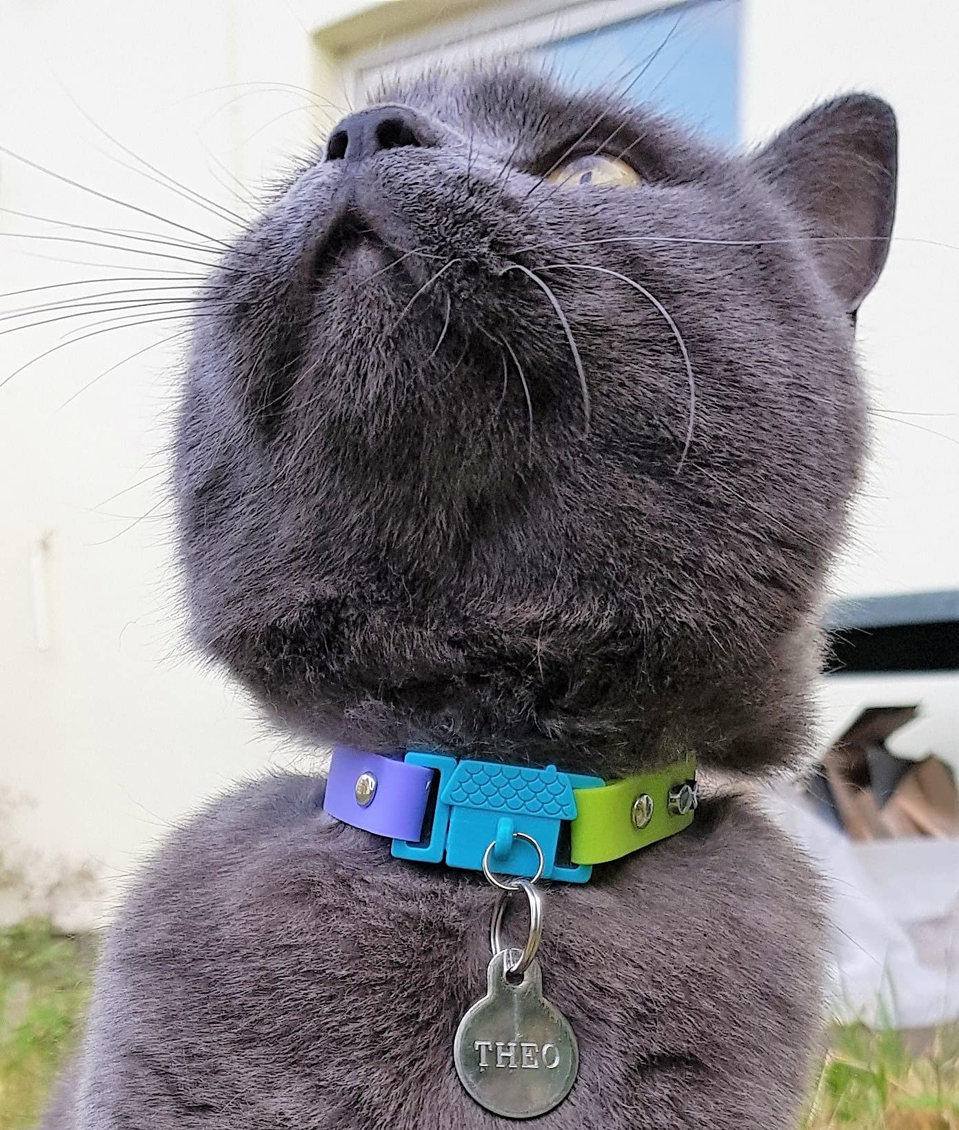 Kittyrama Tahiti Cat Collar with Bell. Cat Friendly Award Winner. Approved by Vets and Cat Experts. Breakaway Cat Collars Quick