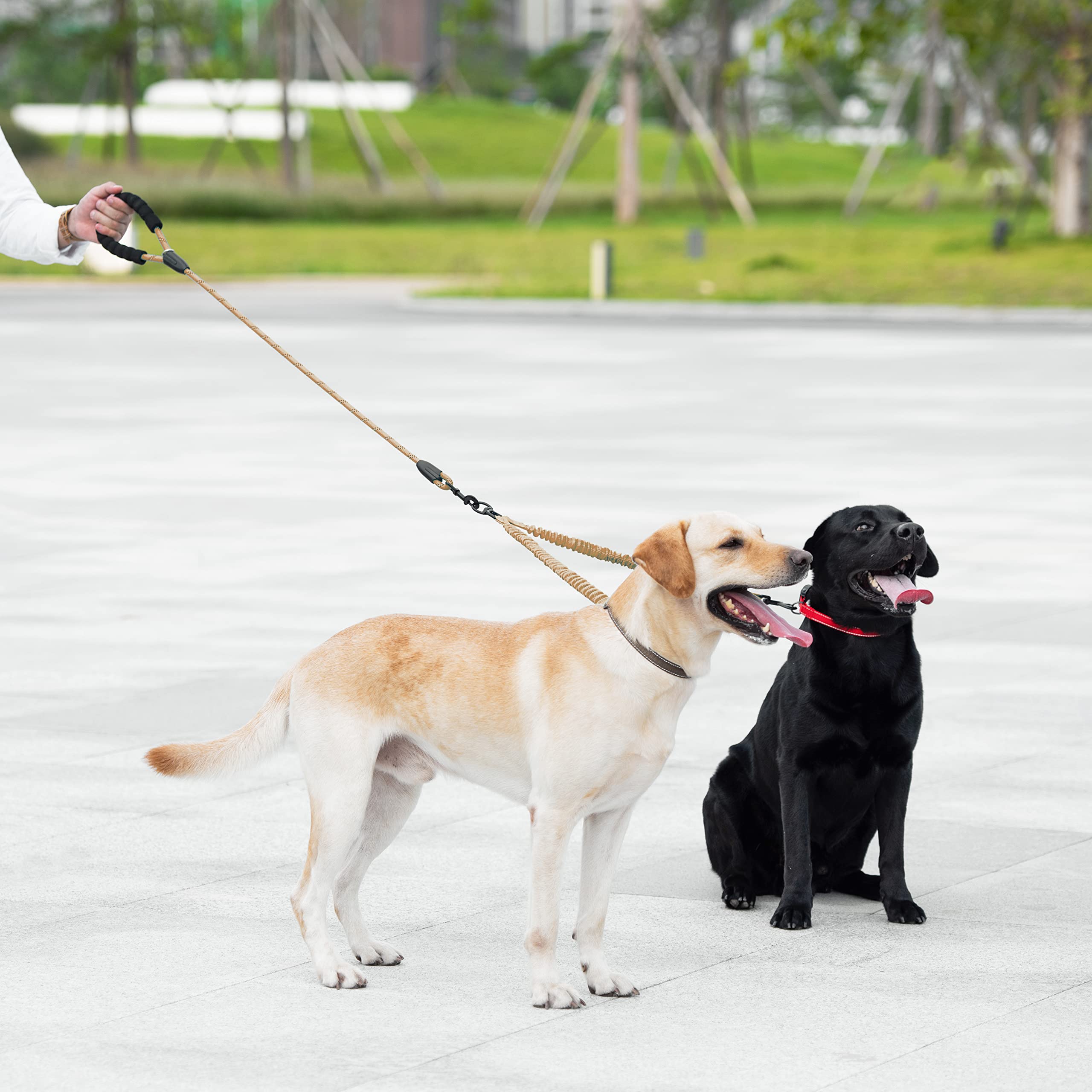 Iyoshop Dual Dog Leash, Double Dog Leash, 360 Swivel No Tangle Walking Leash, Shock Absorbing Bungee For Two Dogs, Khaki, Large (25-150 Lbs)