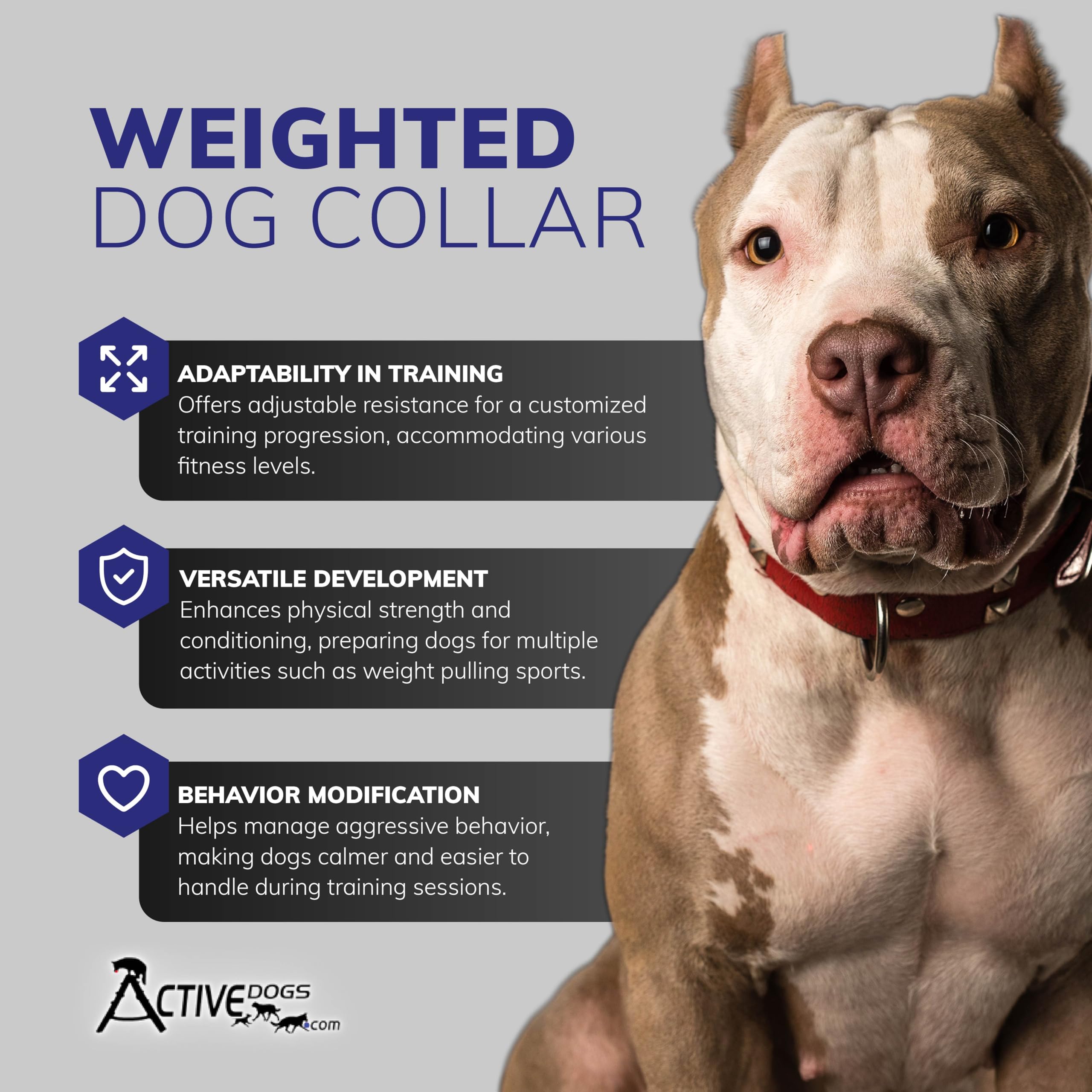 Weighted Dog Training Collar For Muscle Building, Tactical Training, Aggression & Weight Management - 5X1Lb Weights & Sheepskin Padded Dog Collar For K9, Bully, Bull Terrier & More