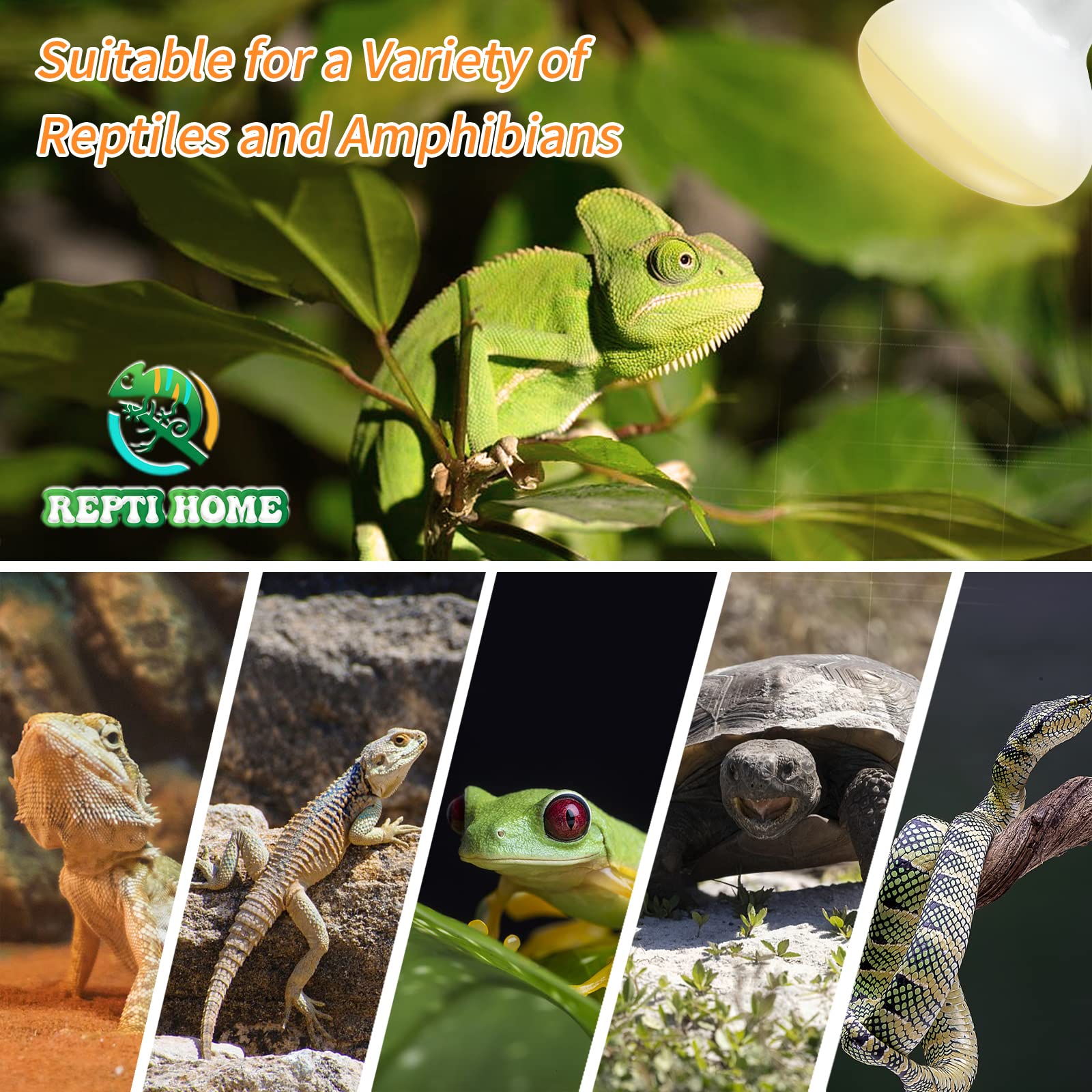 Repti Home Reptile Heat Lamp Bulbs (New Upgraded, Safer, 50W 2 Pack), Reptiles & Amphibians Uva Basking Spot Lamp Bulb, Reptile Daylight Heat Bulb For Bearded Dragon, Lizard, Turtle