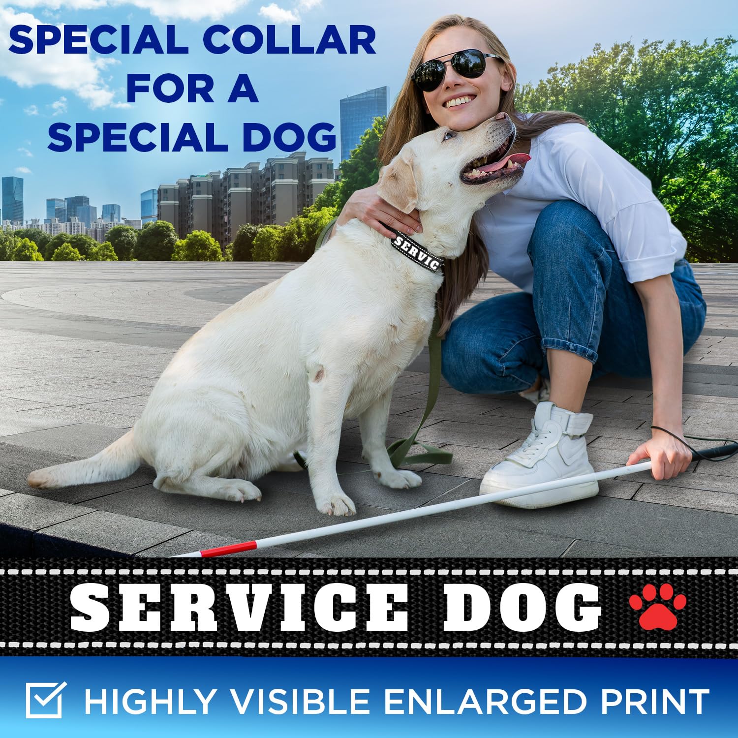 Teceum Reflective Pet Collar - Black - Service Dog - S - Extra Soft Padding - Basic Nylon Dog Collar - Quick Release Buckle - Fi