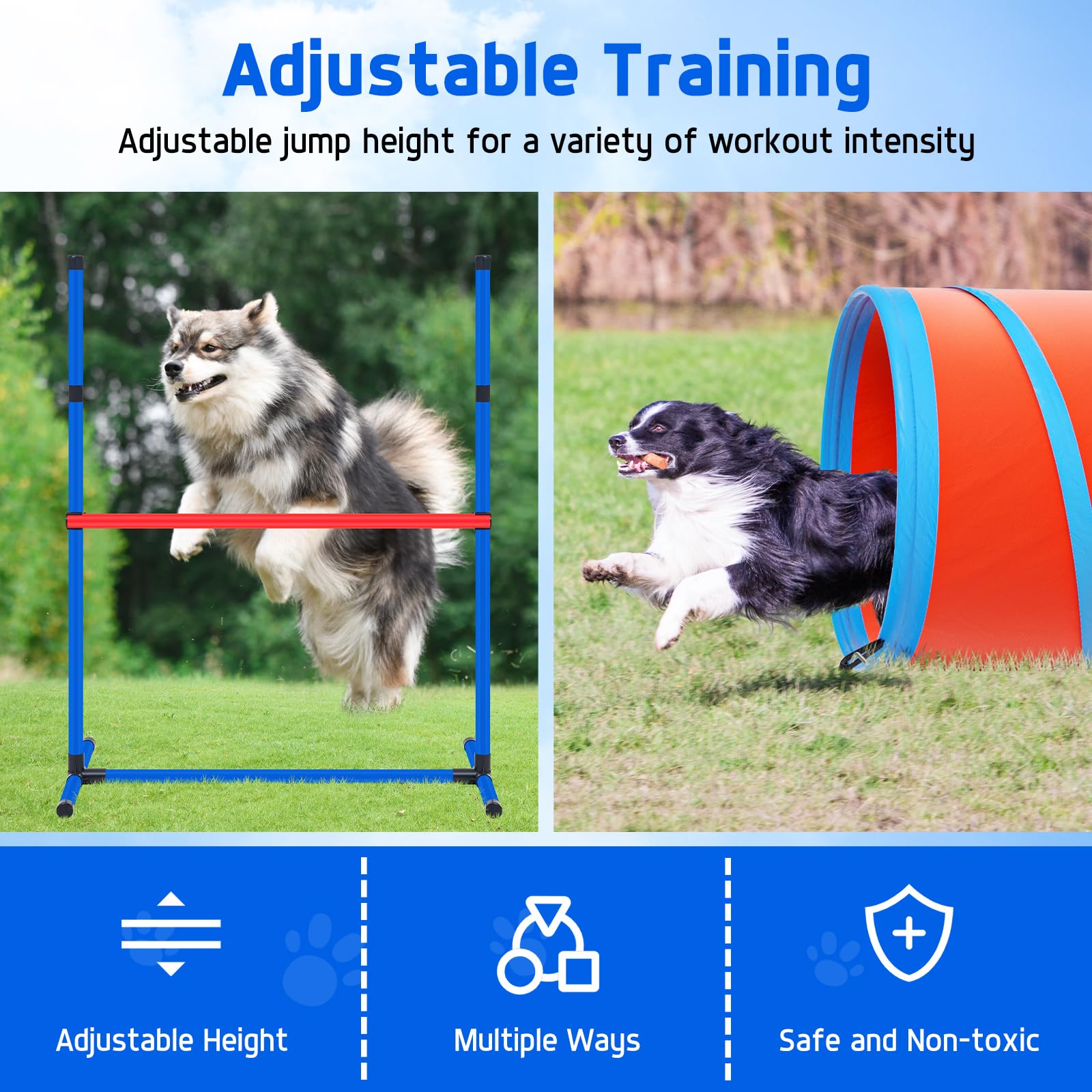 Dog Agility Training Equipment Set, Obstacle Courses Agility Training Kit For Puppy Includes 2 High Hurdles, Standard Tunnel, Bl