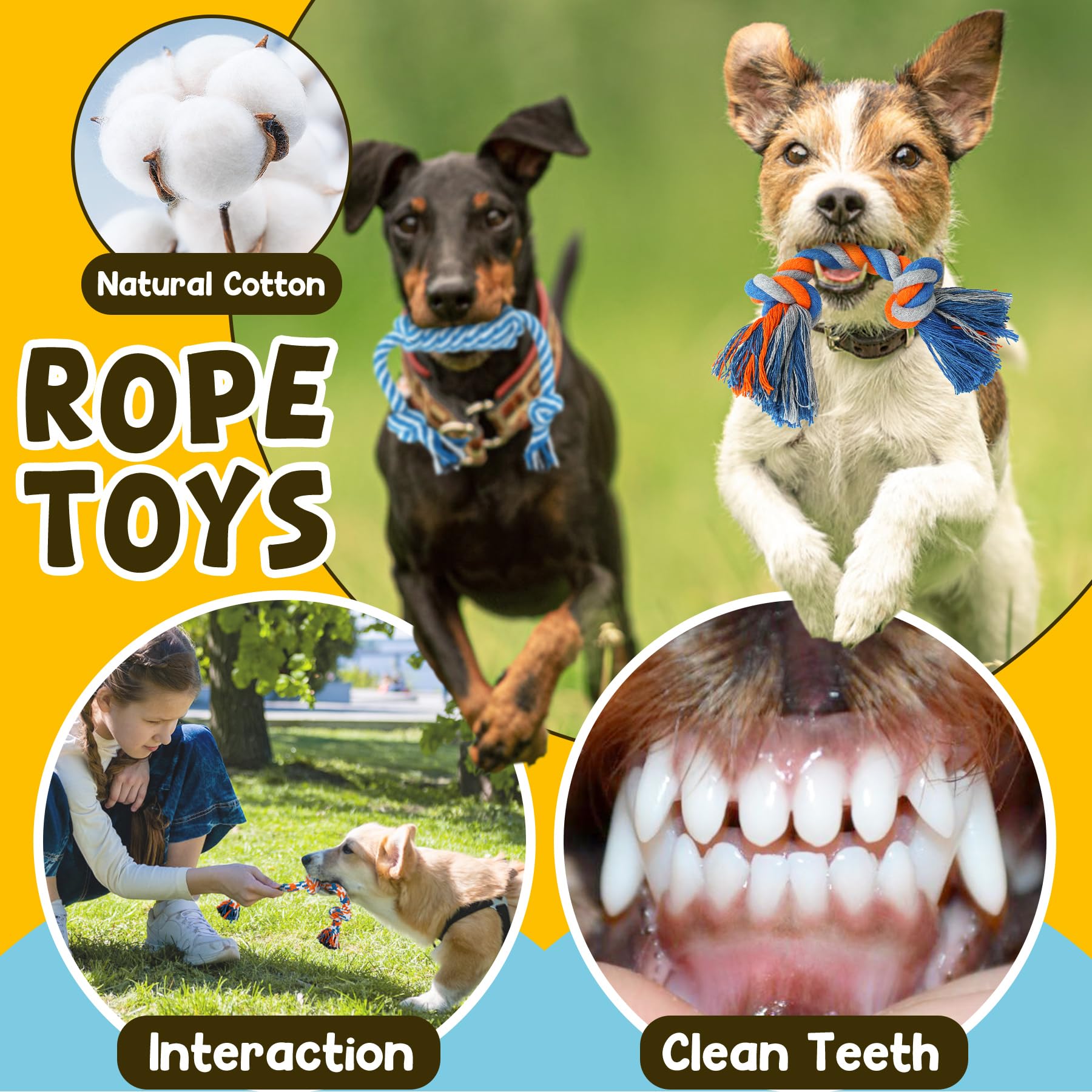 Zeaxuie 9 Pack Luxury Puppy Toys for Teething Small Dogs, Puppy Chew Toys with Cute Squeaky Dog Toys, Ball and More Rope Dog Che