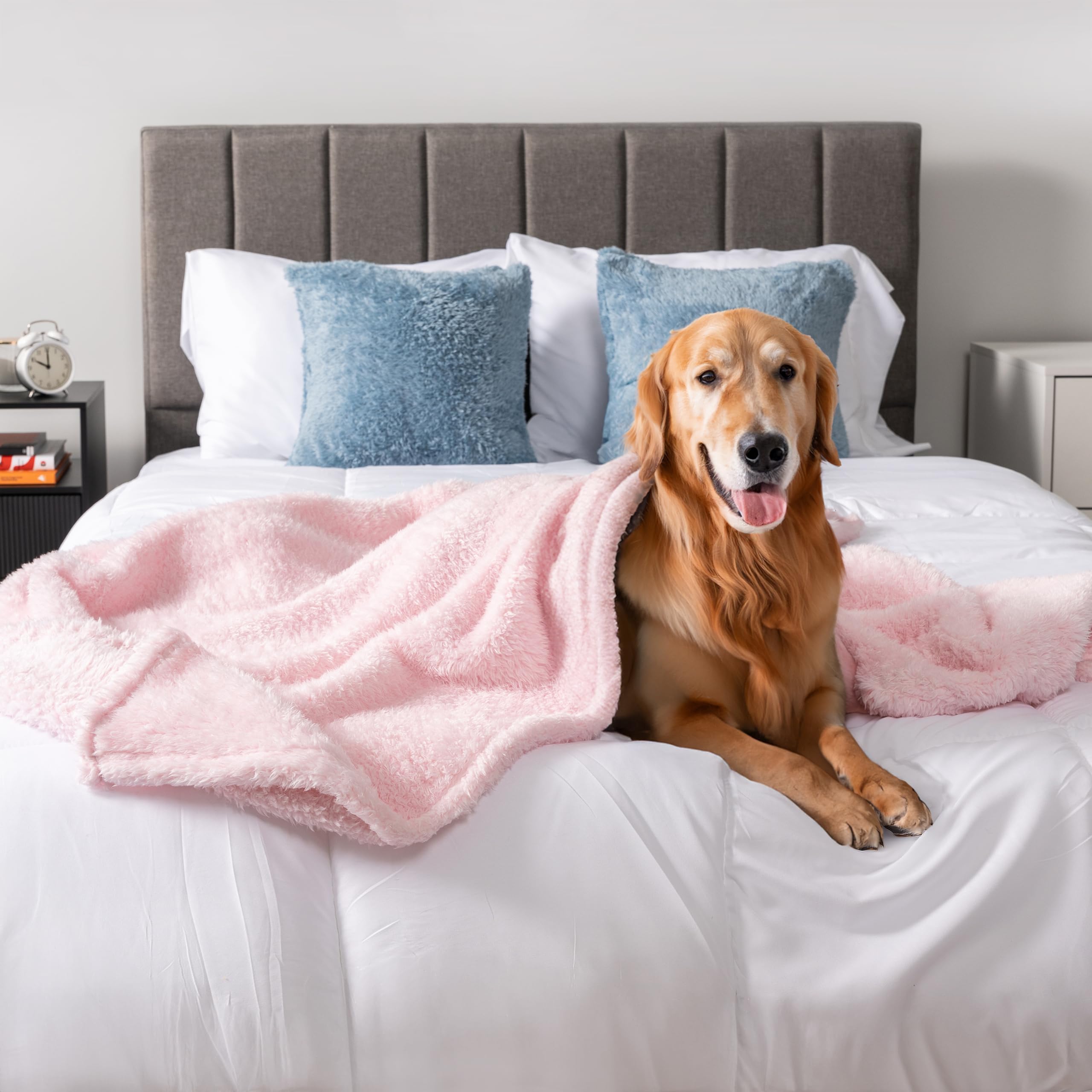 PetAmi Dog Blanket for Large Dogs Pink, Fluffy Soft Puppy Blanket, Sherpa Fleece Cat Blanket for Kitten, Calming Pet Blanket Thr