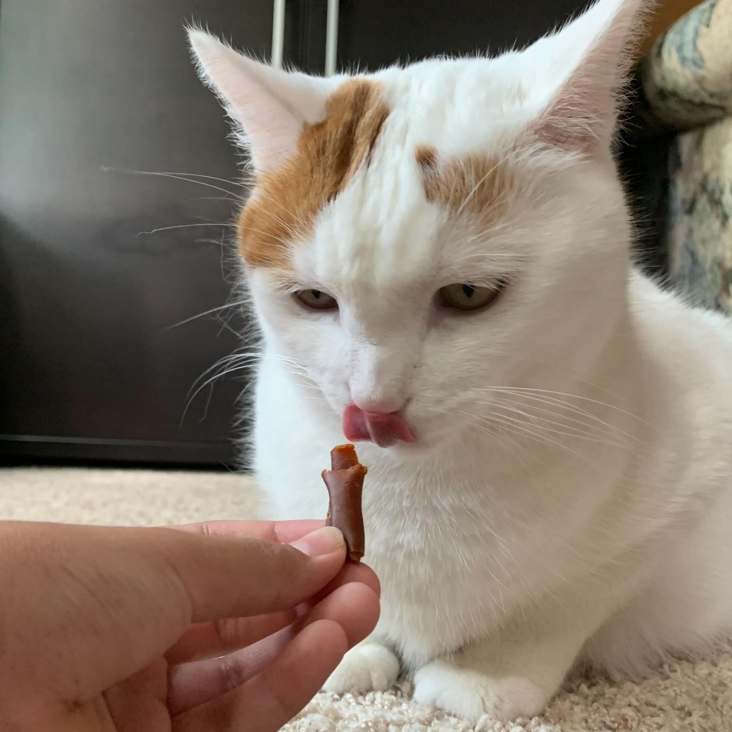 Stashios: Wrap-Ups: Pill Wrapper - Peanut Butter - 30 Servings Bag, Dogs & Cats, Pet Treat Hides Any Size Pills, All Natural Lim