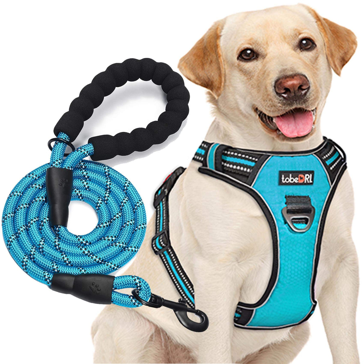 Tobedri No Pull Dog Harness Adjustable Reflective Oxford Easy Control Medium Large Dog Harness With A Free Heavy Duty 5Ft Dog Leash (S (Neck: 13'-18', Chest: 17.5'-22'), Blue Harness+Leash)