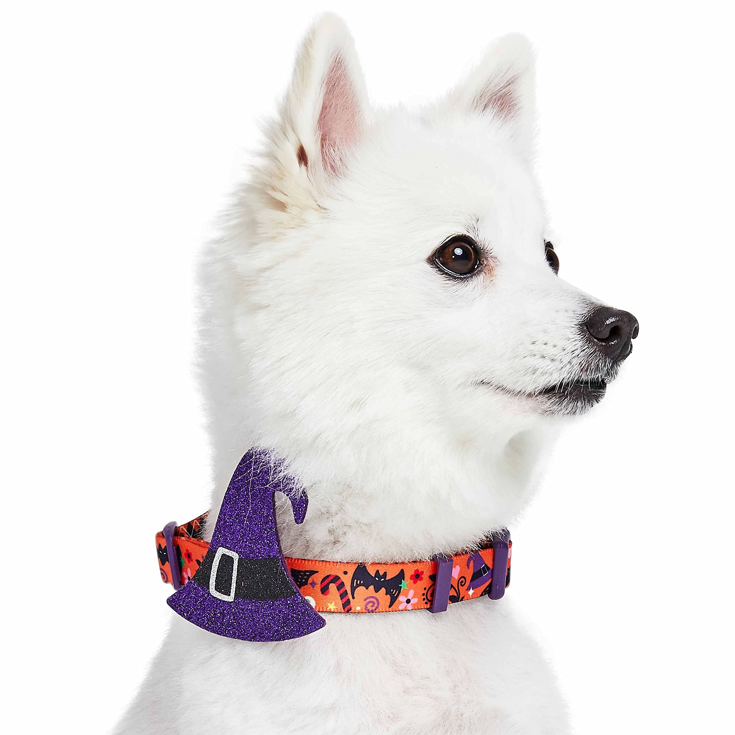 Blueberry Pet Halloween Witch Hat Adjustable Dog Collar with Detachable Glitter Accessory, Large, Neck 18''-26''