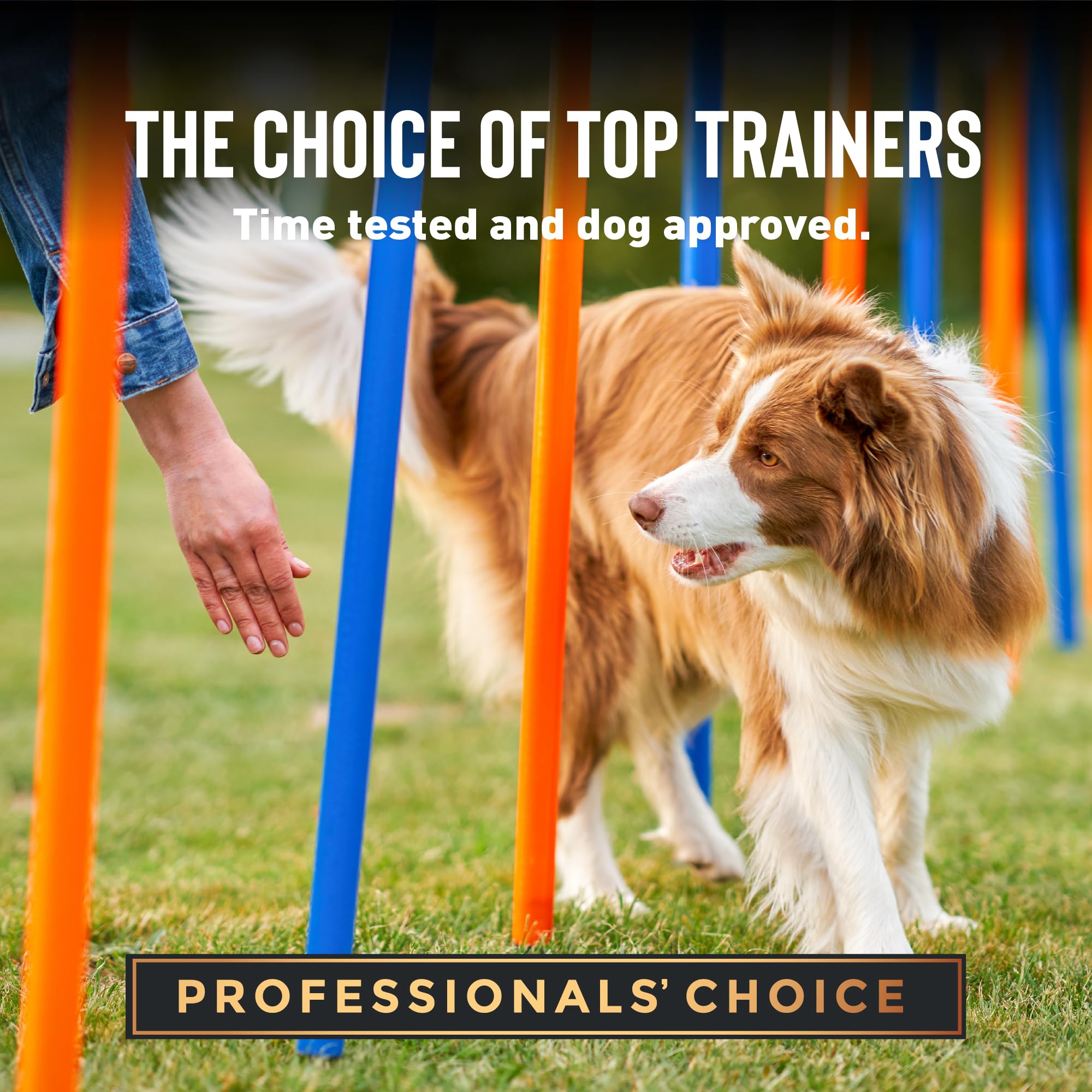 Cloud Star Tricky Trainers Soft & Chewy Dog Training Treats 14 oz Pouch, Salmon Flavor, Low Calorie Behavior Aid with 360 treats