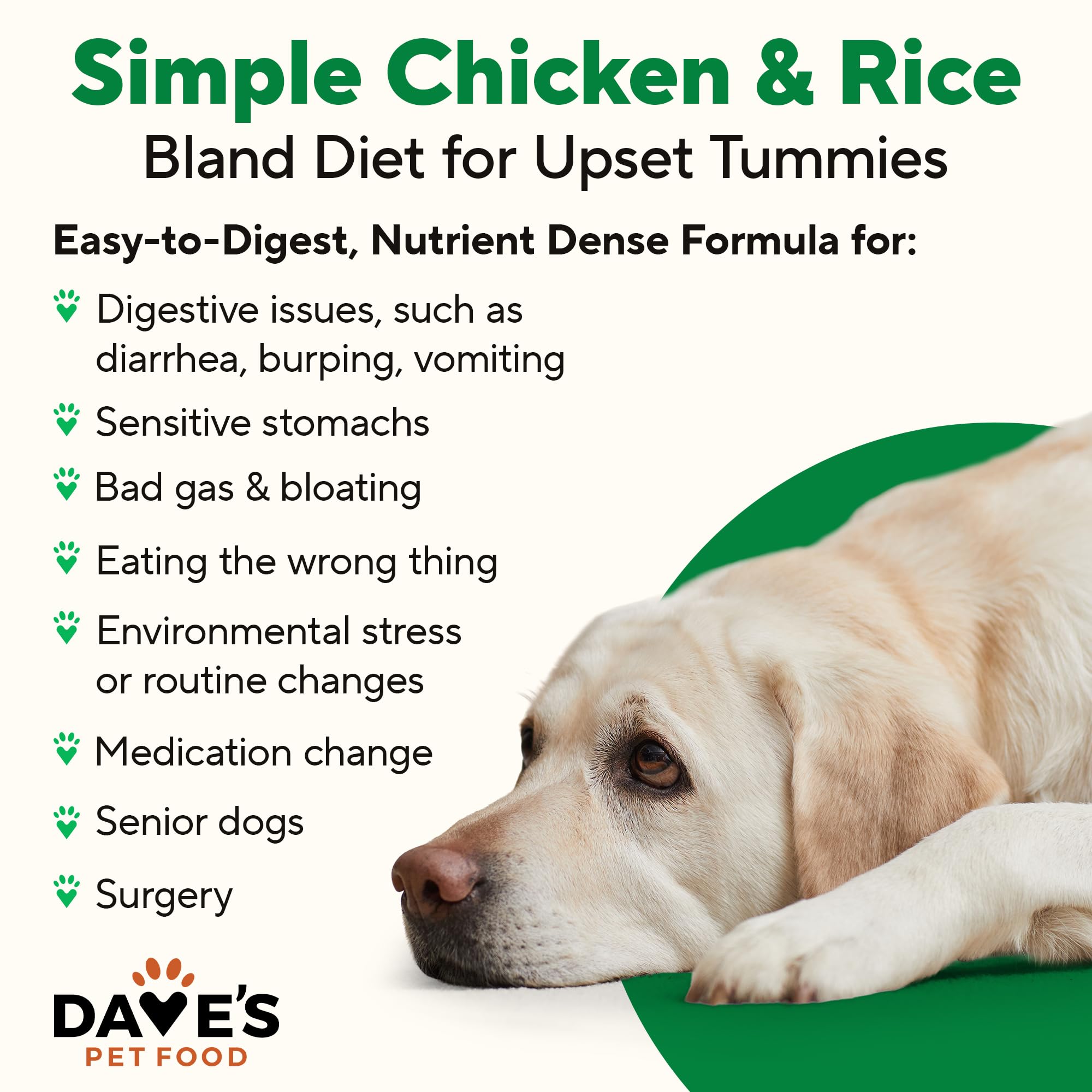 Daves Pet Food Bland Dog Food (Lamb & Rice), Canned Wet Dog Food for Sensitive Stomachs, Gluten-Free, Digestive Care, 13.2 oz (