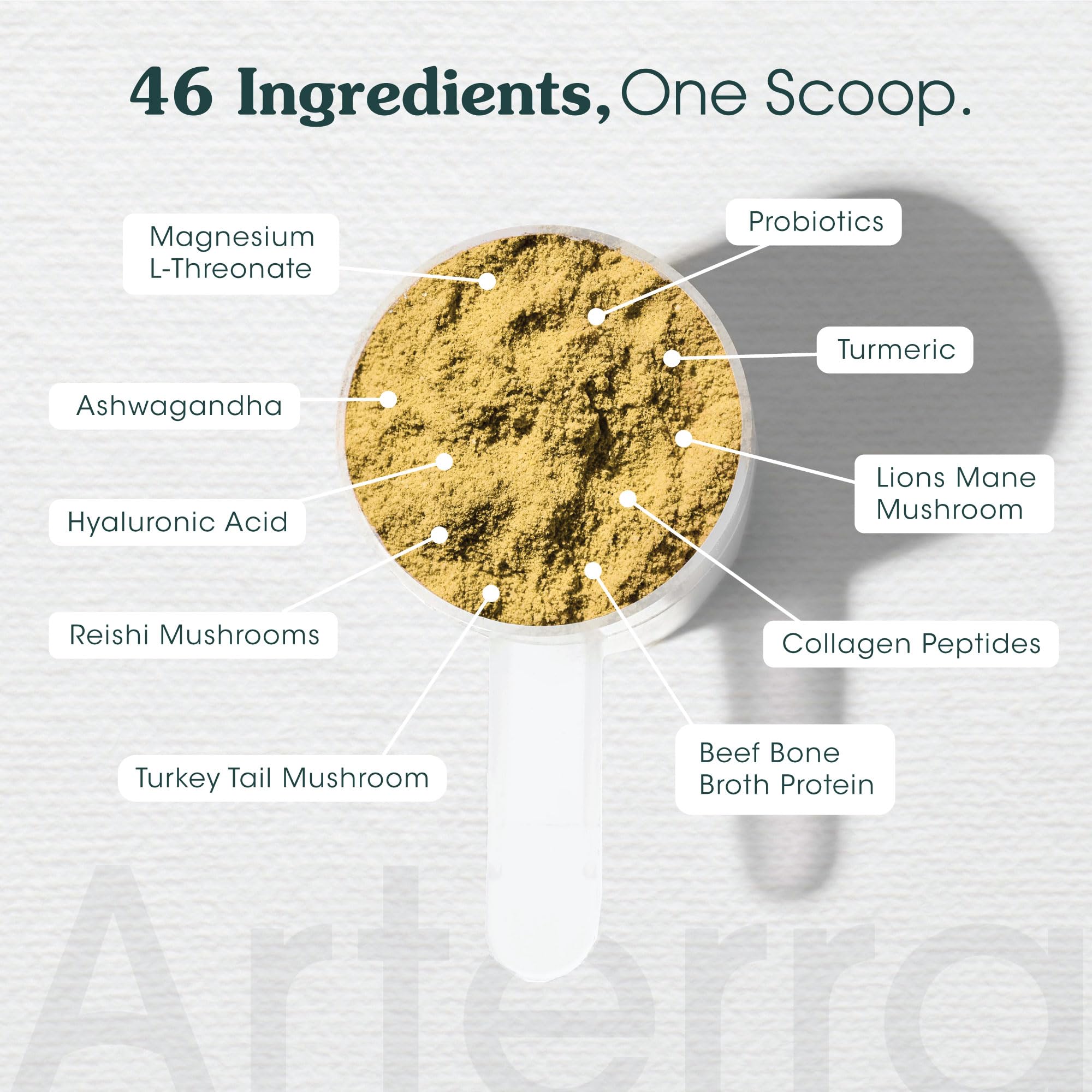 Longevity Multivitamin for Adult Dogs - 46 Ingredients for Gut, Immune & Brain Health - Daily Supplement & Food Topper for Whole