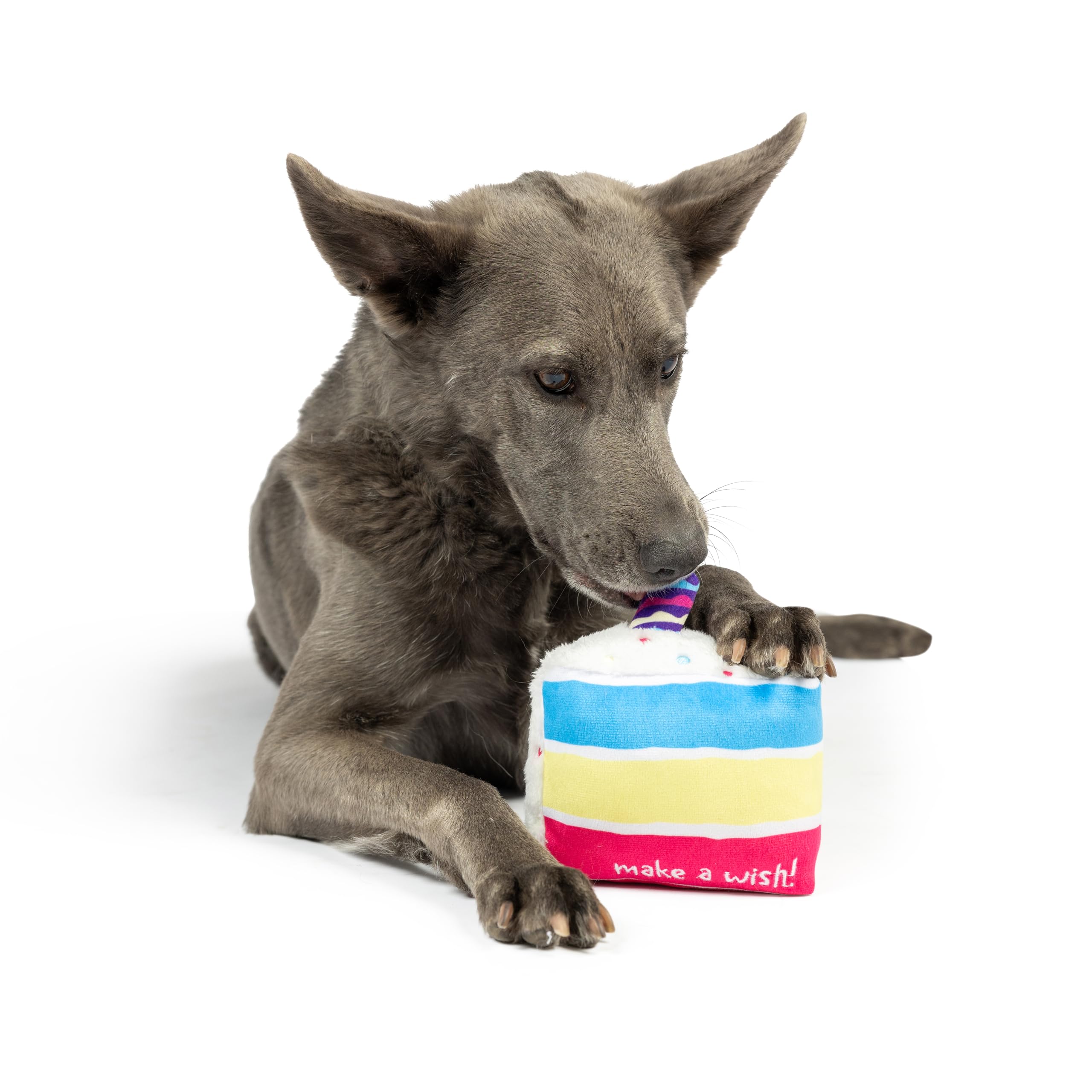 Huxley & Kent For Dogs | Make A Wish Cake Plush Dog Toy | Small, Interactive, Durable & Water Resistant