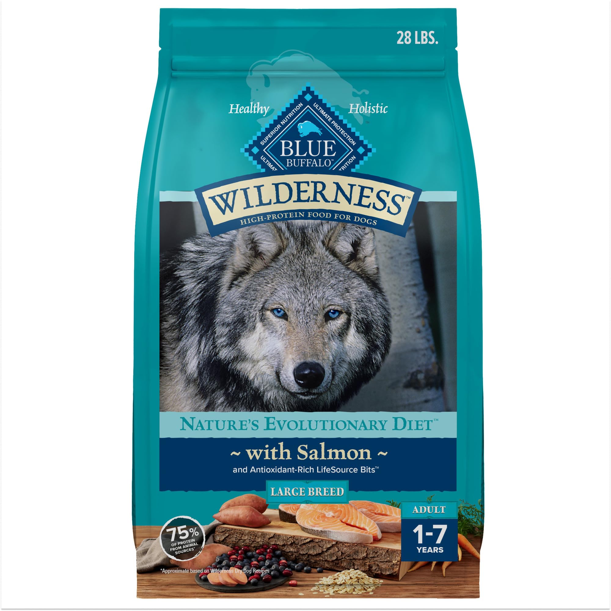 Blue Buffalo Wilderness Natural High-Protein Dry Food for Adult Dogs, with Wholesome Grains, Salmon, 28-lb bag.