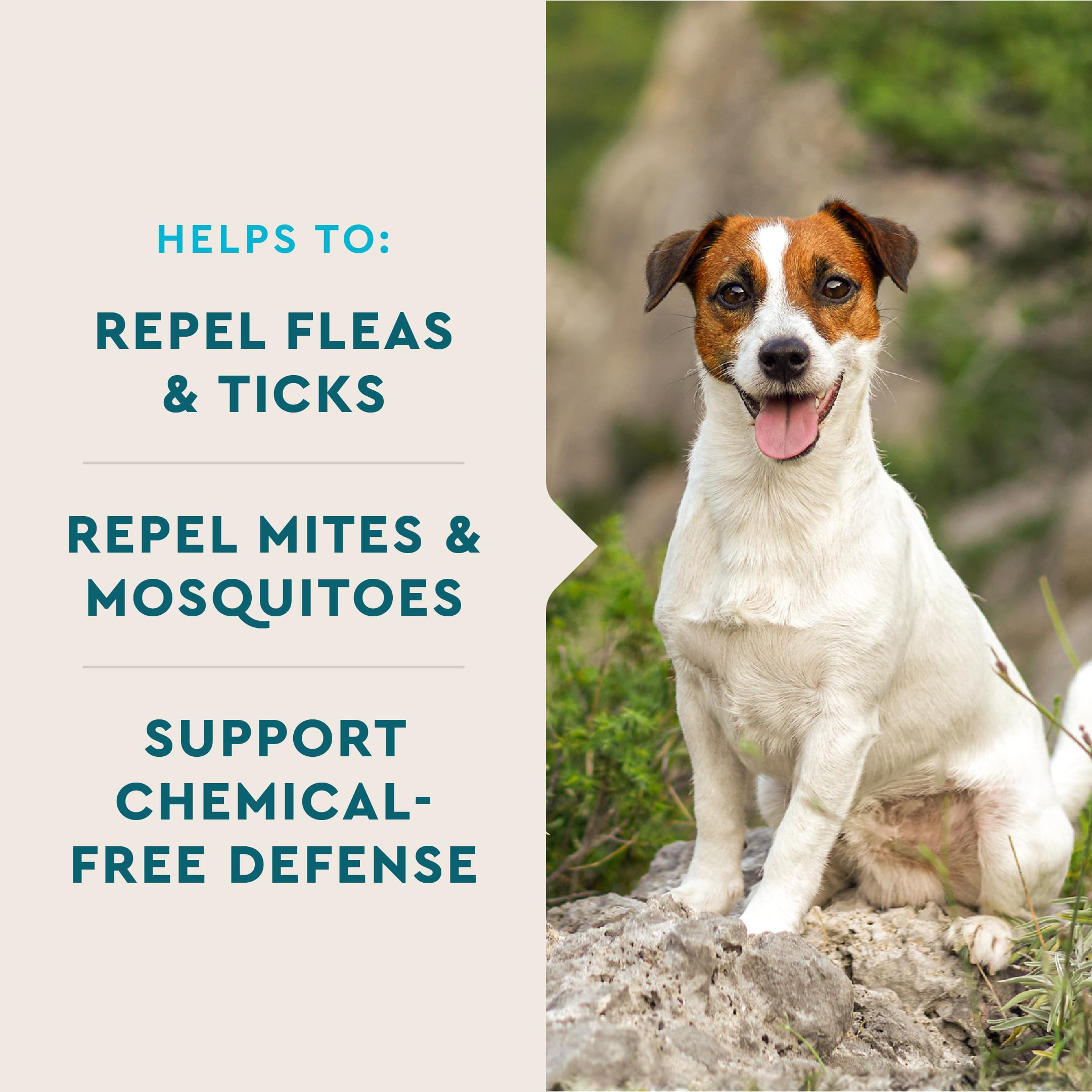 VetIQ Flea & Tick Support for Dogs, Flea and Tick Chewable for Dogs, Supports Dogs Natural Flea Defenses, Free of Added Chemica