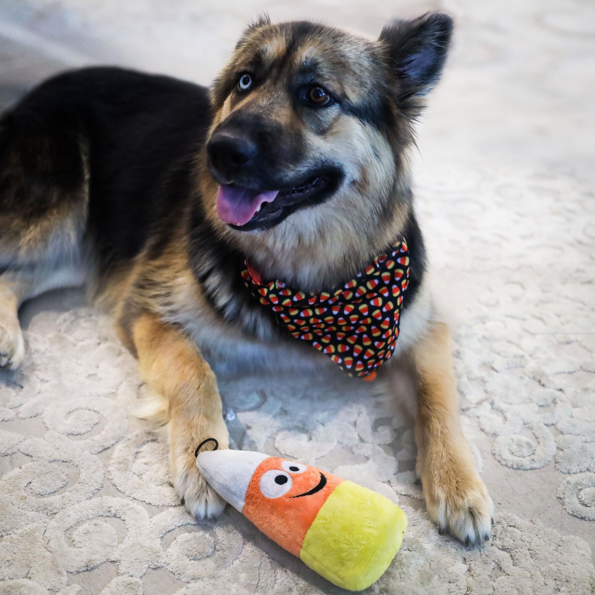 Huxley & Kent Plush Halloween Power Plush Dog Toy | Kookie Korn | 8 Inch | Squeaker | White, Orange, Yellow