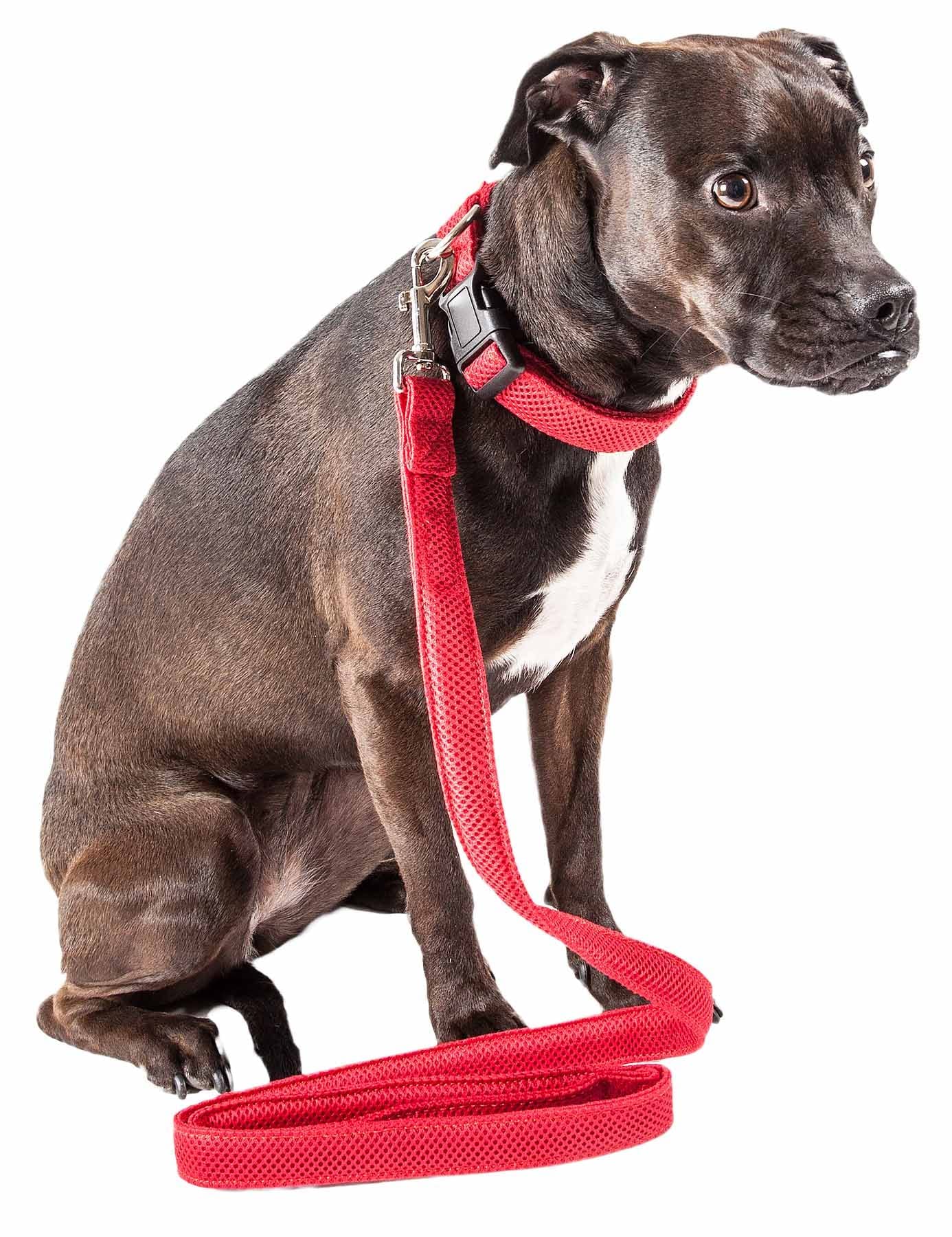 Pet Life ® 'Aero Mesh' 360 Degree Dual Sided Comfortable And Breathable Adjustable Fashion Mesh Dog Collar And Dog Leash For Small Medium And Large Dogs Red