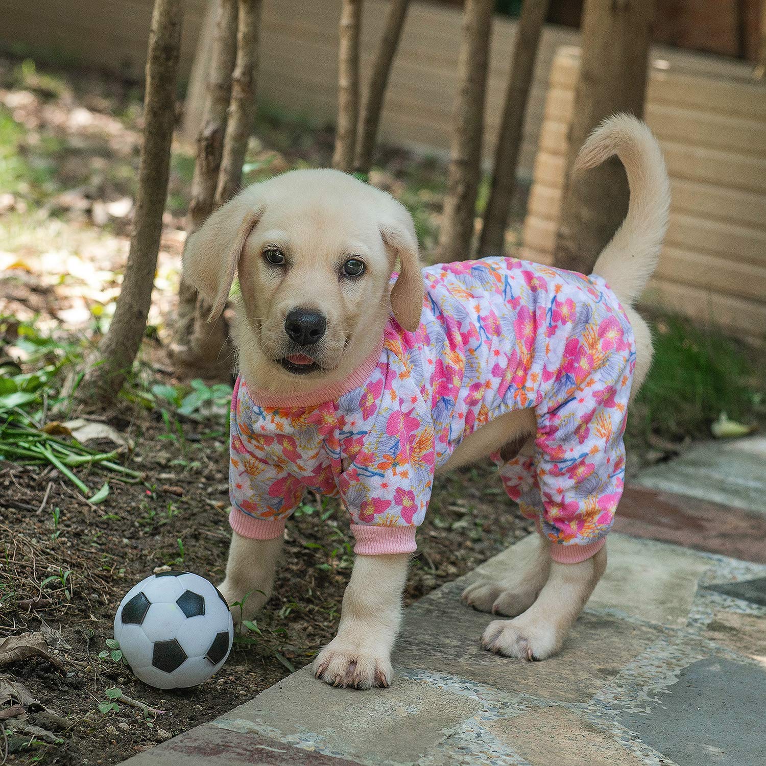 Cutebone Soft & Stretchy Dog Pajamas - Cozy Pet Jammies Breathable Jumpsuit For Small Dogs - All-Season Comfy Outfit Easy-On Pul