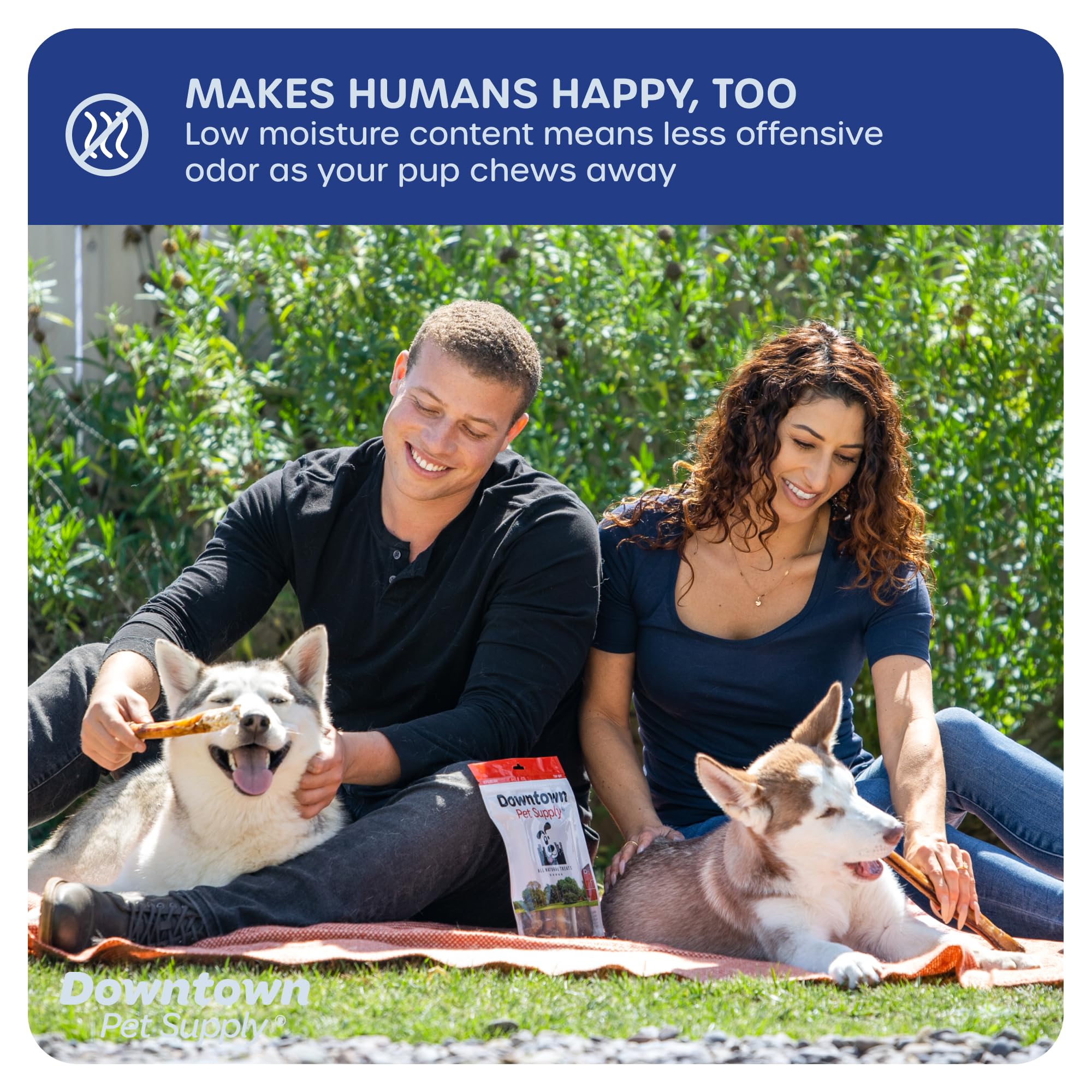 Downtown Pet Supply USA-Made 12, 8 Oz. Jumbo Bully Sticks for Large Dogs - Rawhide Free Dog Chews Long Lasting and Non-Splinteri