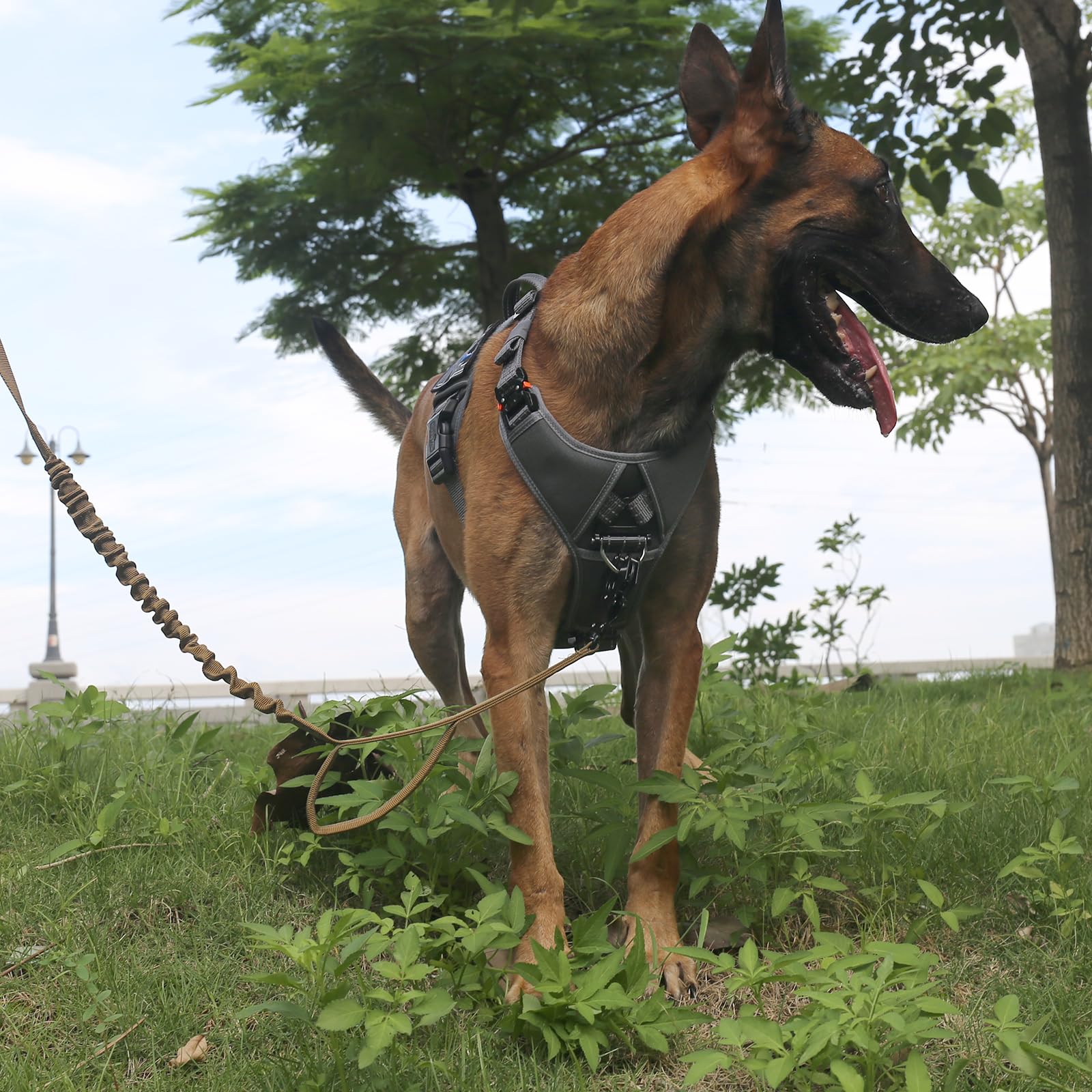 Icefang Gn8 Quick-Moving Tactical Dog Harness With 2Xmetal Buckles For Large Sized Dogs,Reflective K9 Vest,No-Pull Front Leash Clip,5-Points Adjustable Pet Harness (Grey, Large (Pack Of 1))