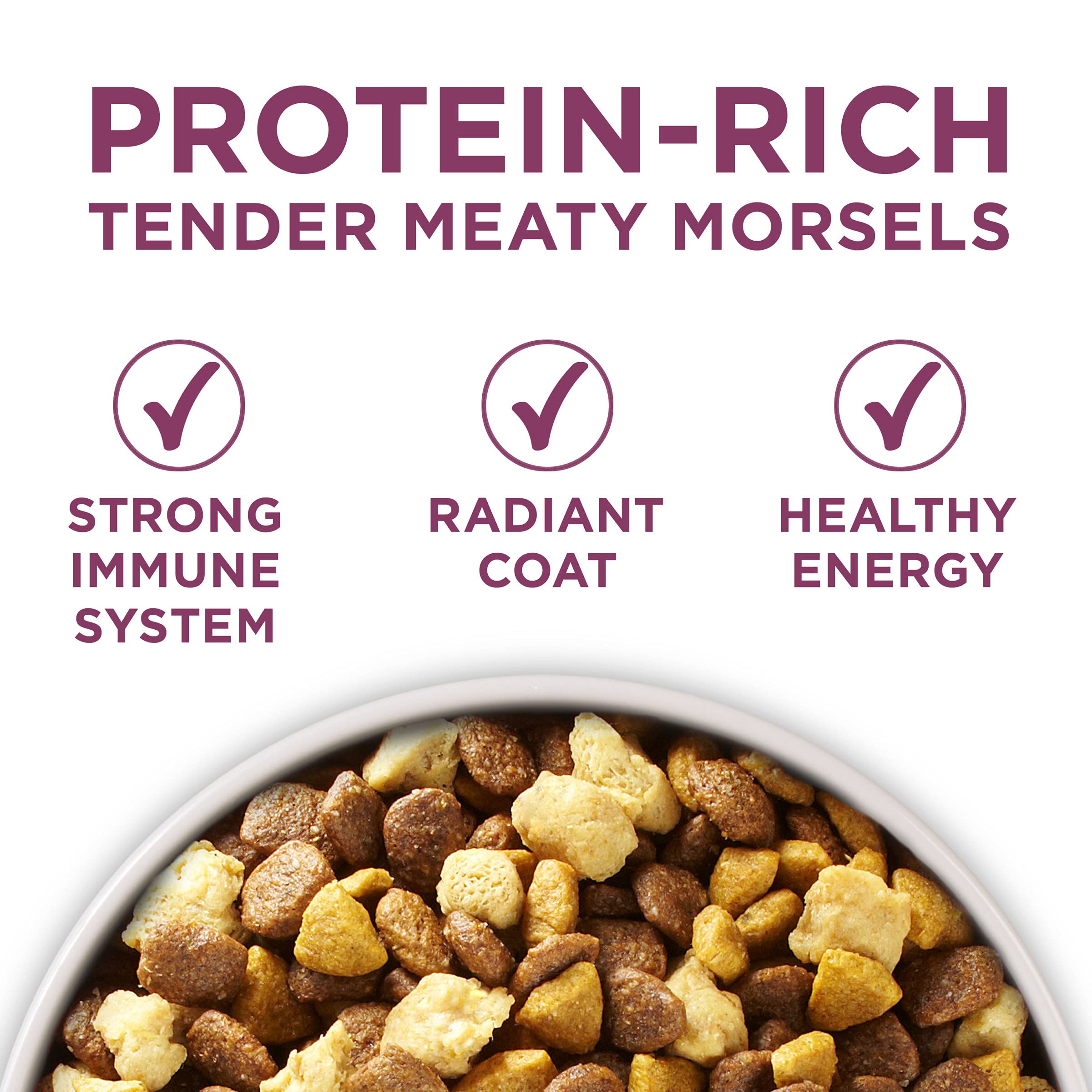 Purina ONE Plus Healthy Puppy Formula High Protein Natural Dry Puppy Food with added vitamins, minerals and nutrients - (Pack of