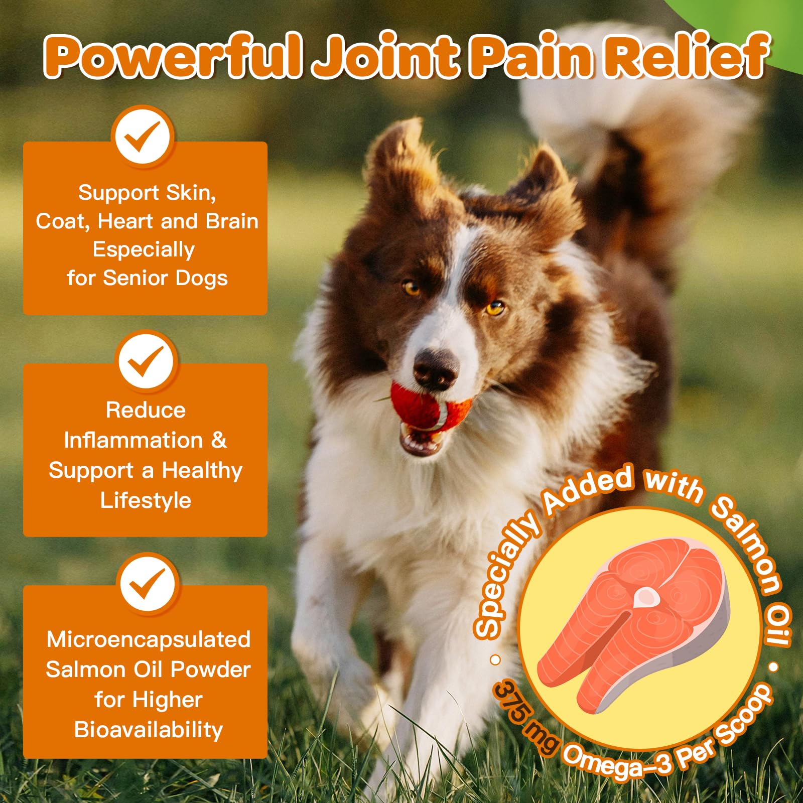 Glucosamine for Dogs, Joint Supplement for Dogs, Chondroitin, MSM, Turmeric, Omega 3, Support Hip & Joint Mobility - Dog Joint P