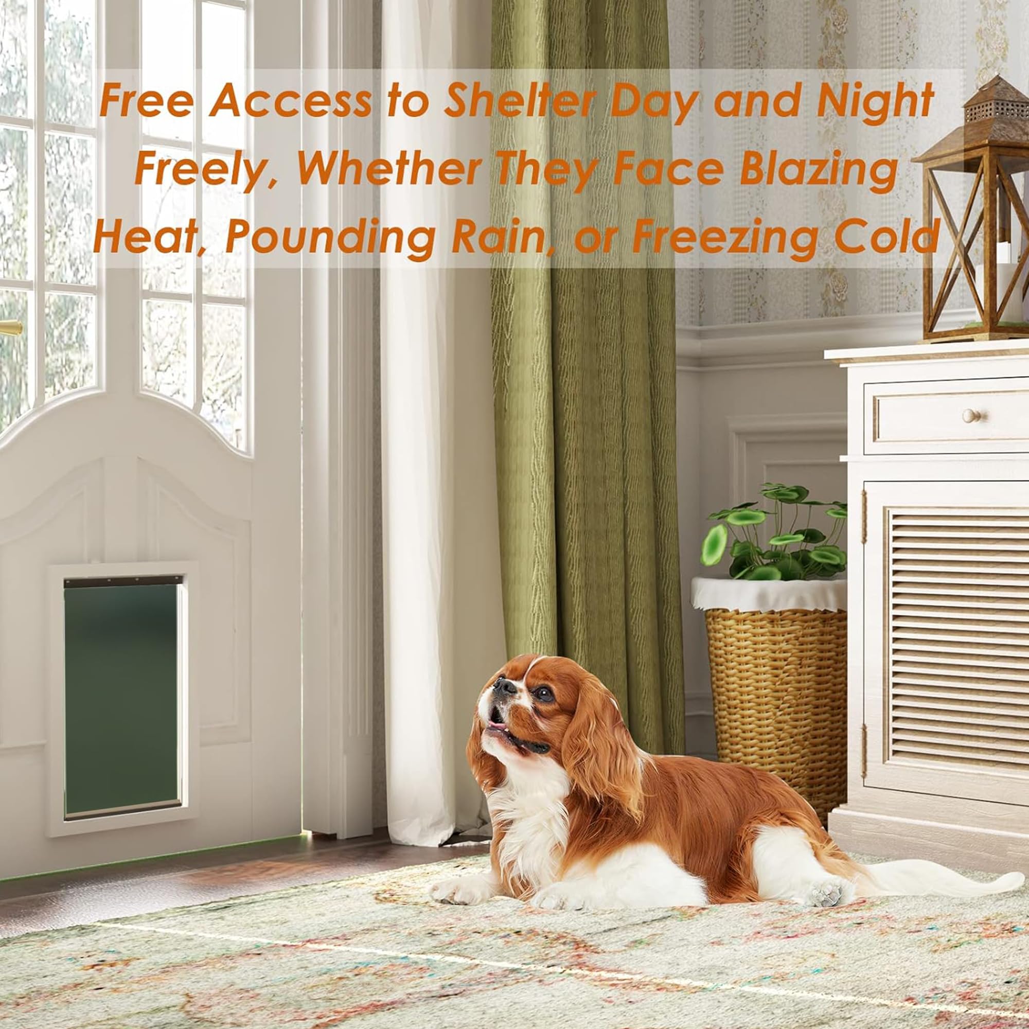 2 Pack Medium Dog Door Replacement Flaps With Screw, Pet Door Replacement Flap Compatible With Petsafe Freedom Pac11-11038, Weat