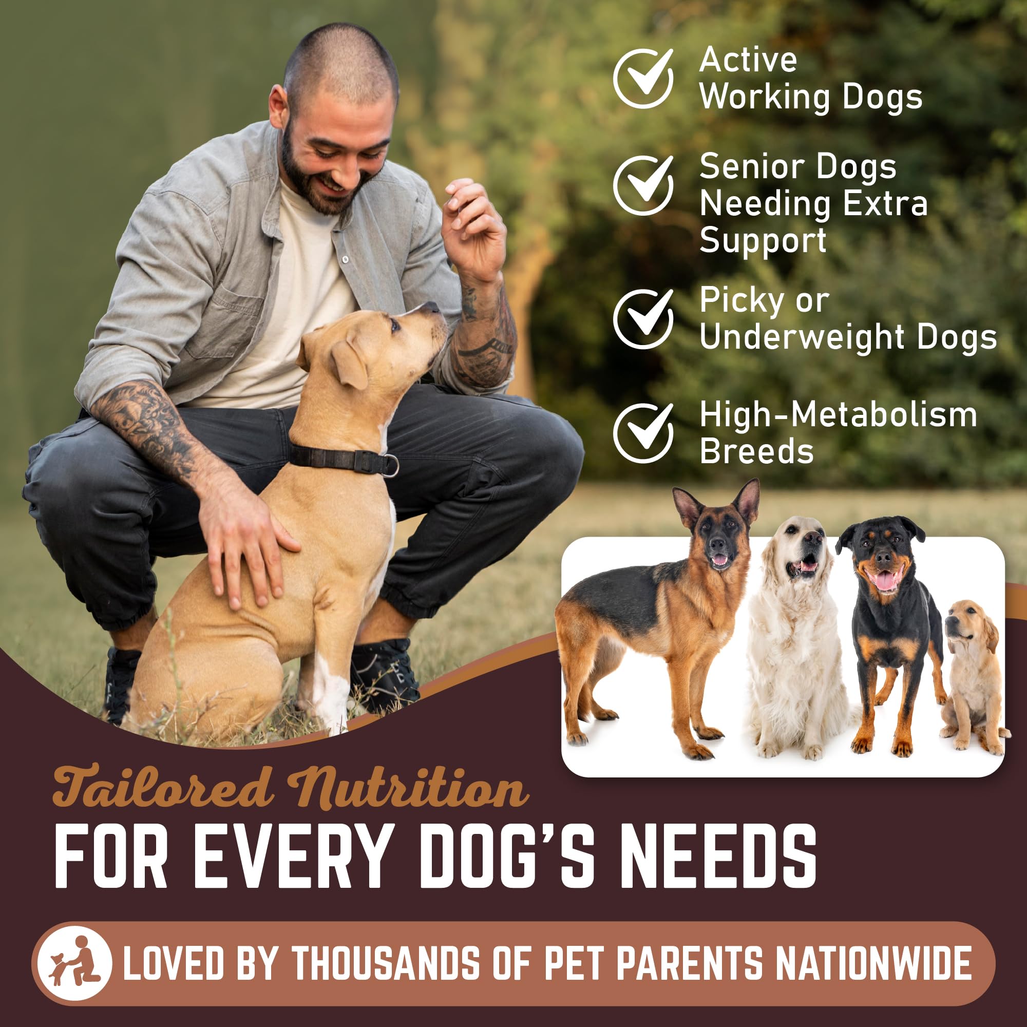 30 Natural Duck Head Dog Treats - Single Ingredient, Dehydrated & Digestible - Low-Fat, High-Protein Chew for Training & Dental